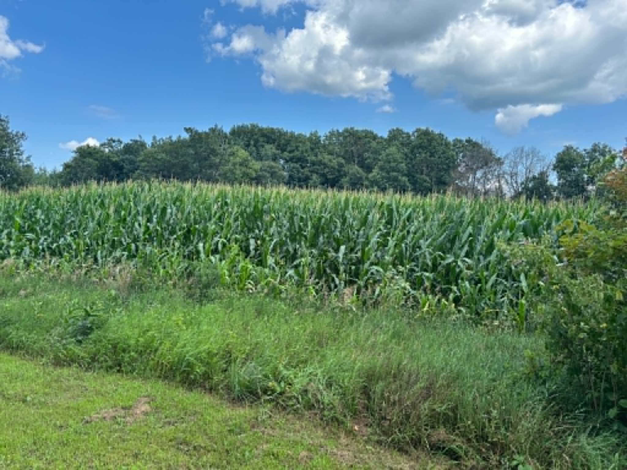 Vacant Land 420th Ave