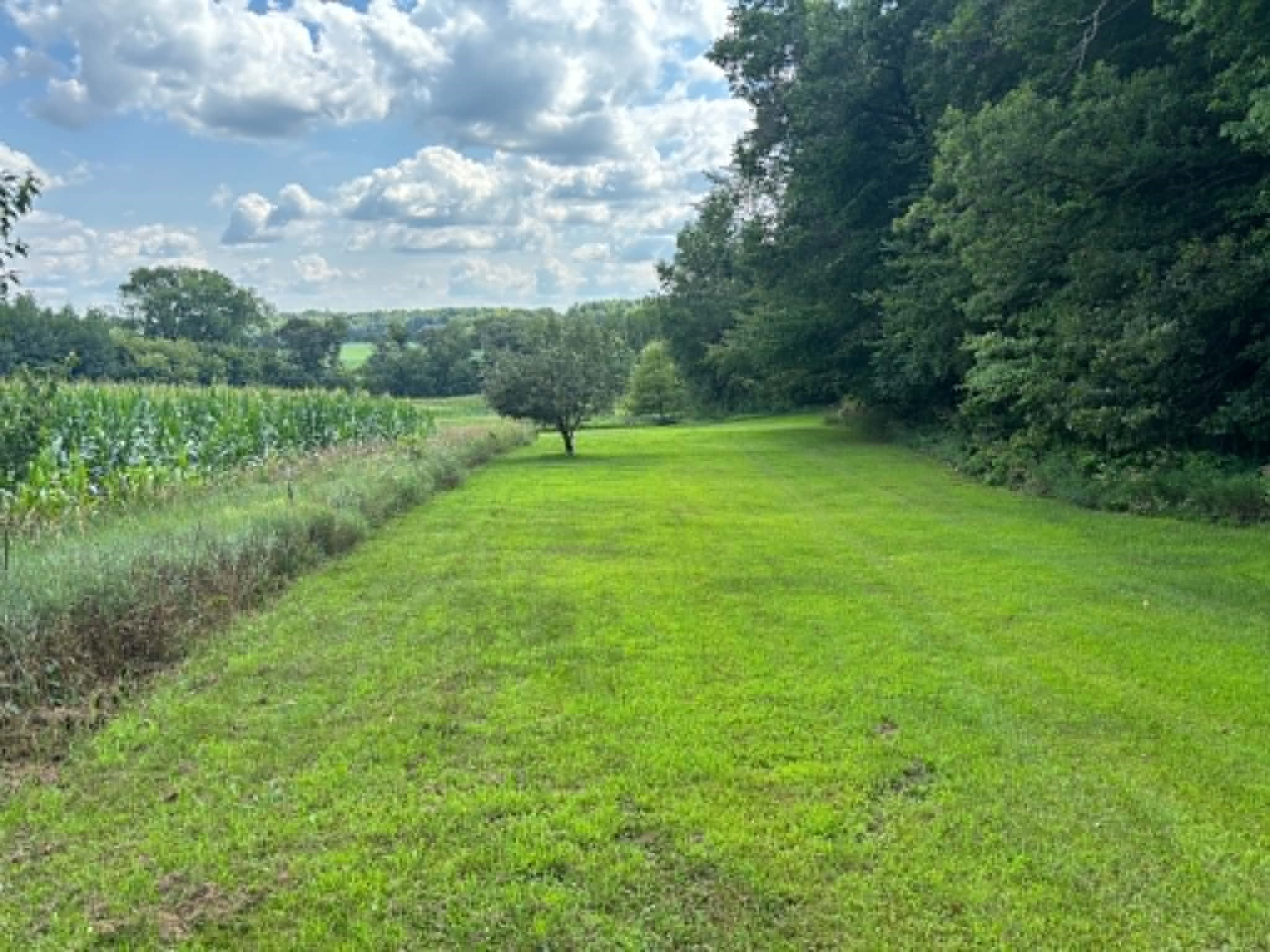Vacant Land 420th Ave