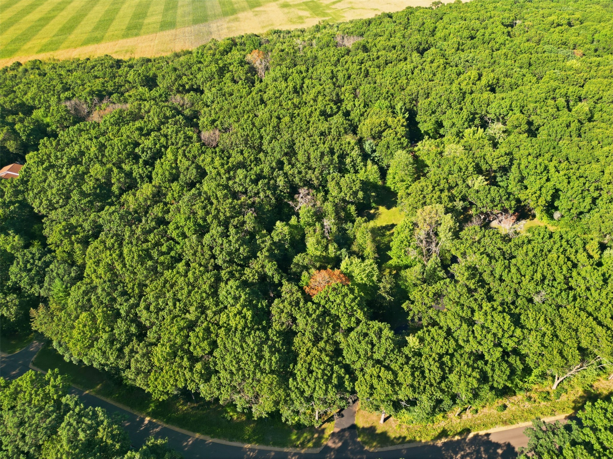 W2610 Rim Rock Road