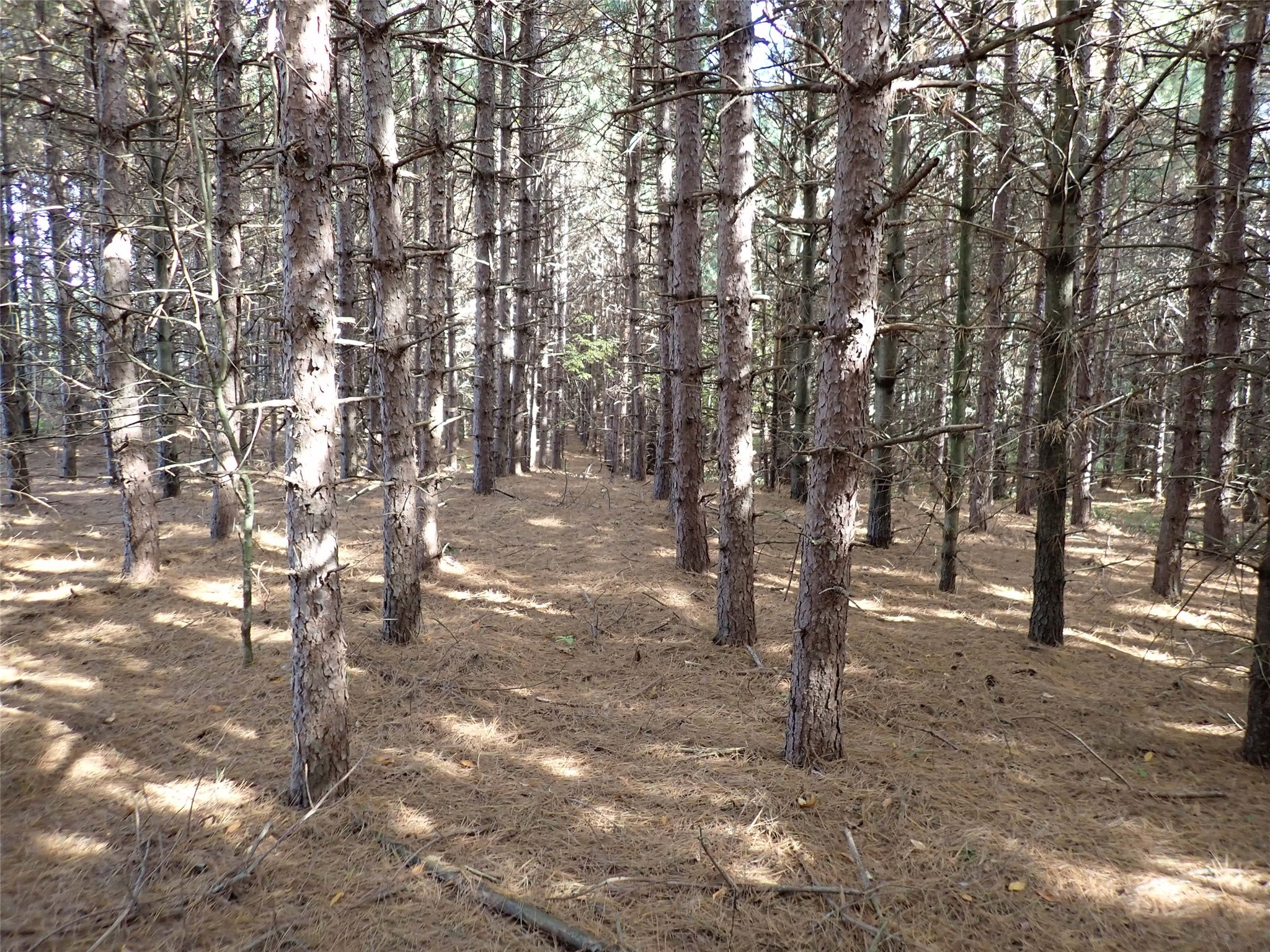 70.54 acres 26 1/2 St
