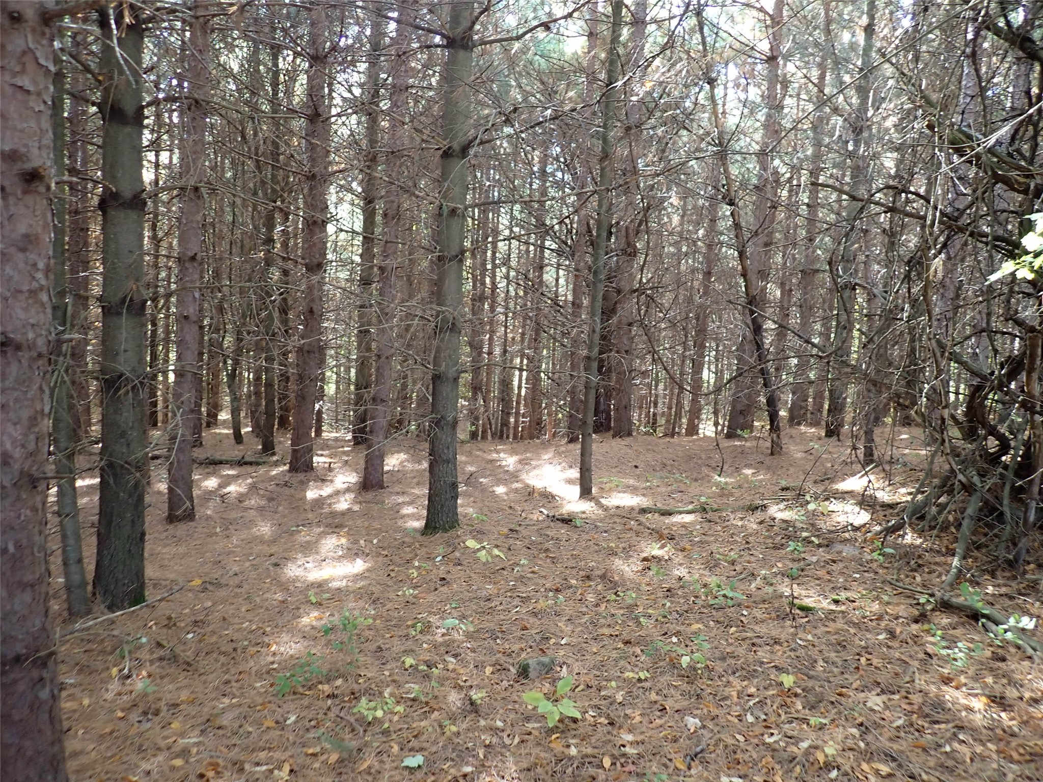 70.54 acres 26 1/2 St