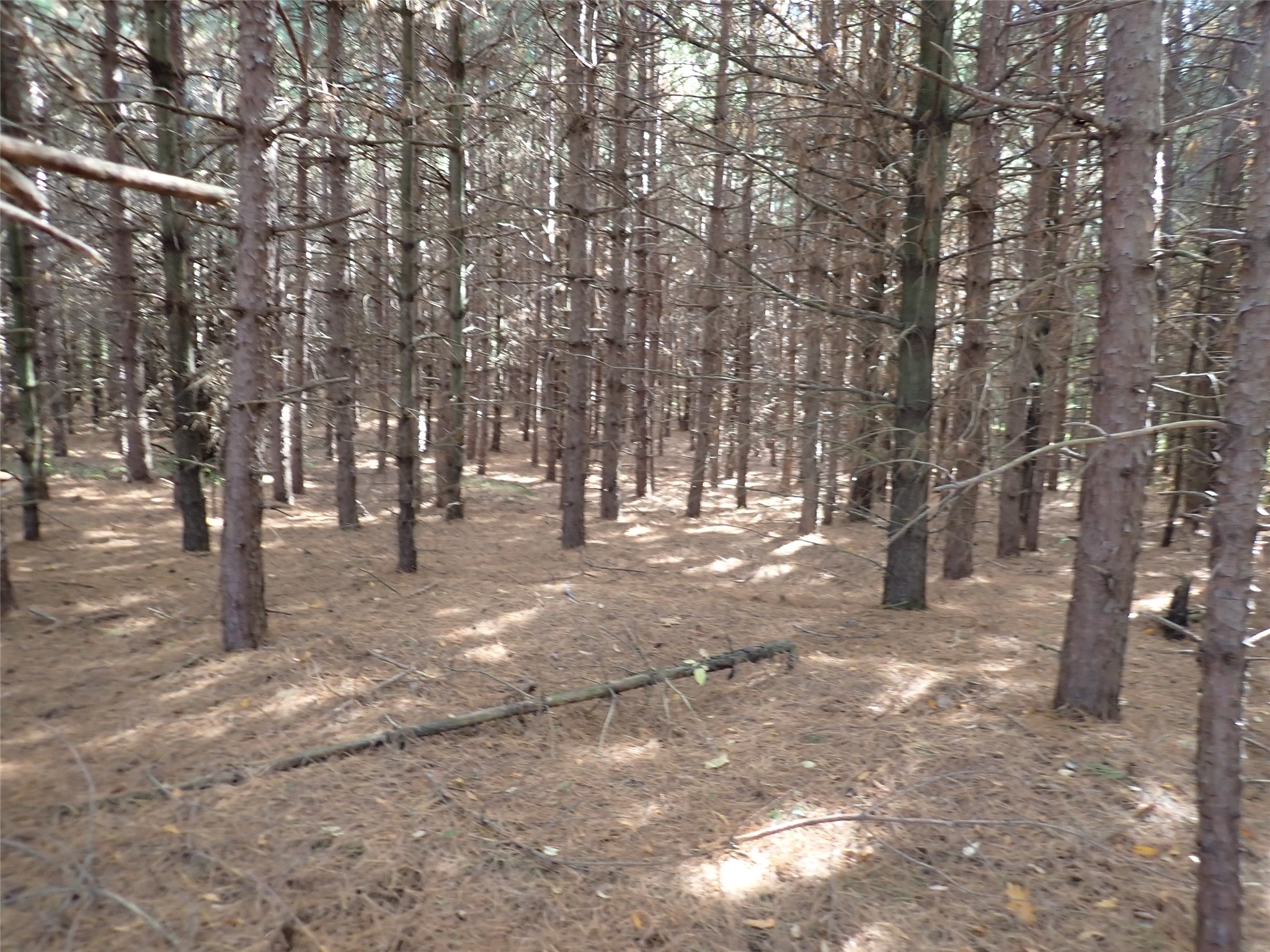 70.54 acres 26 1/2 St