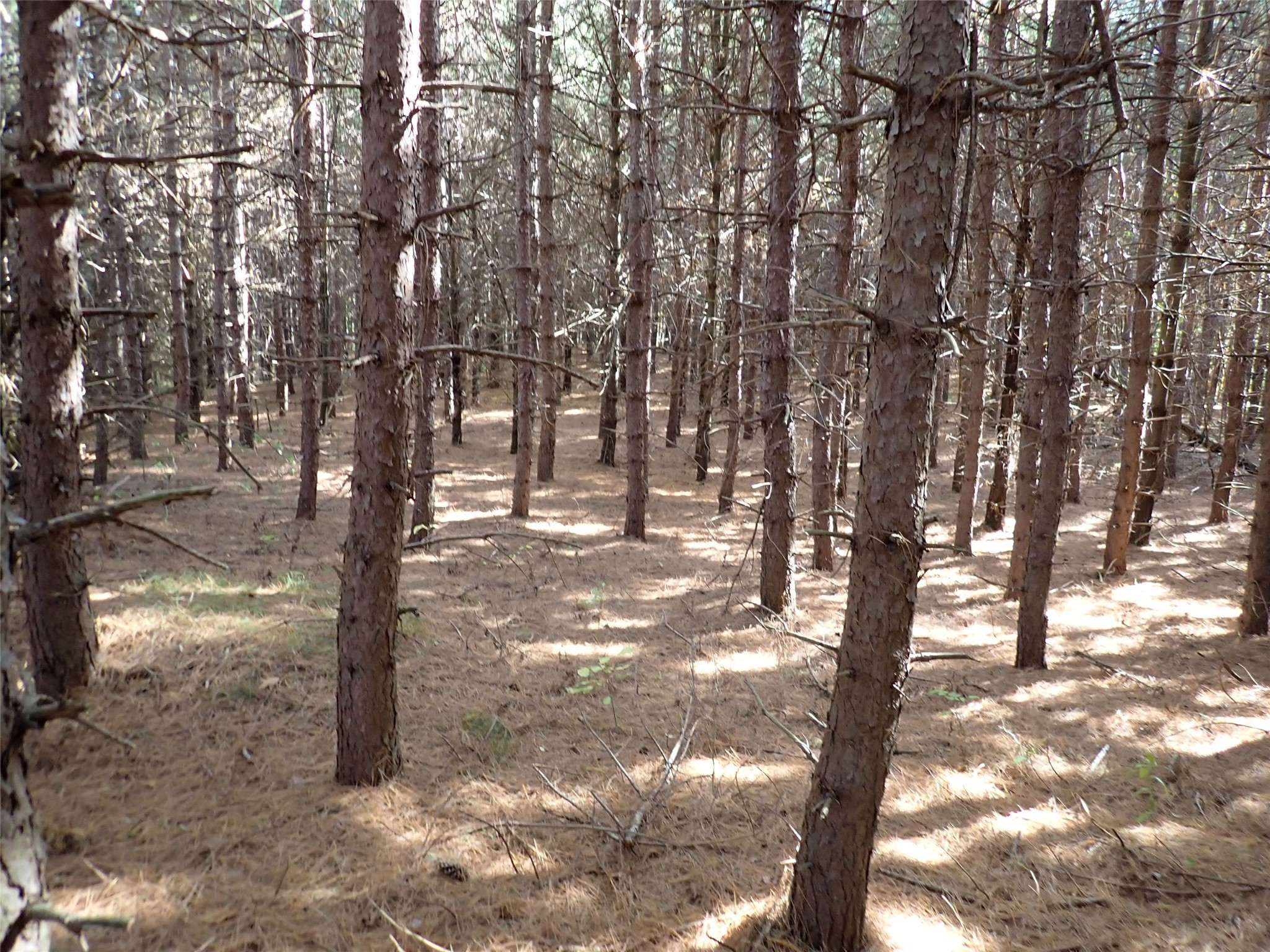 70.54 acres 26 1/2 St