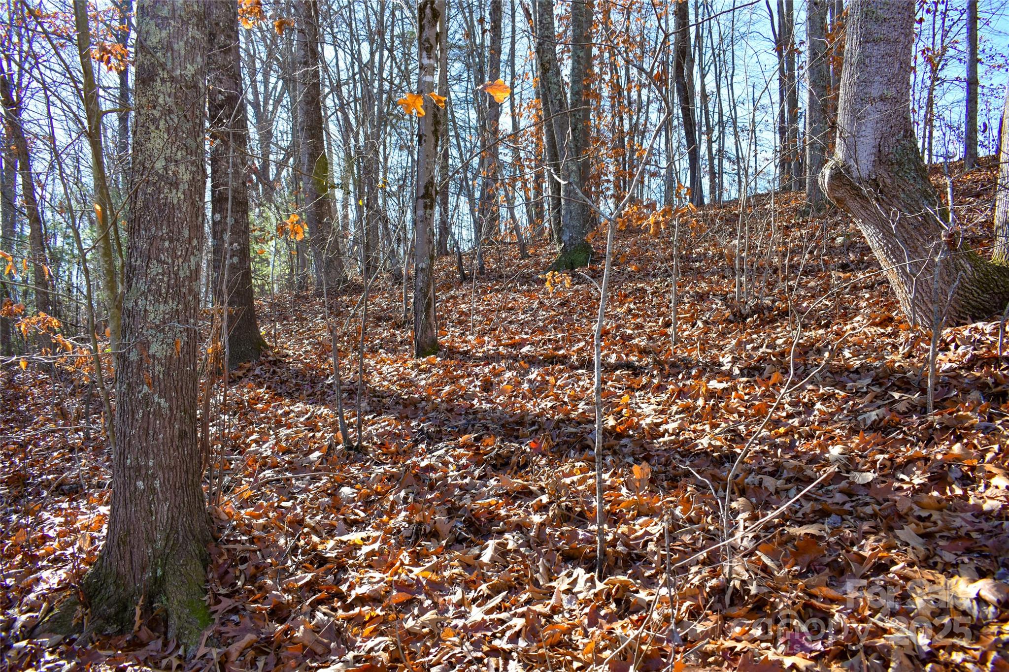 Lot 7 Aldersgate Road Unit: 7