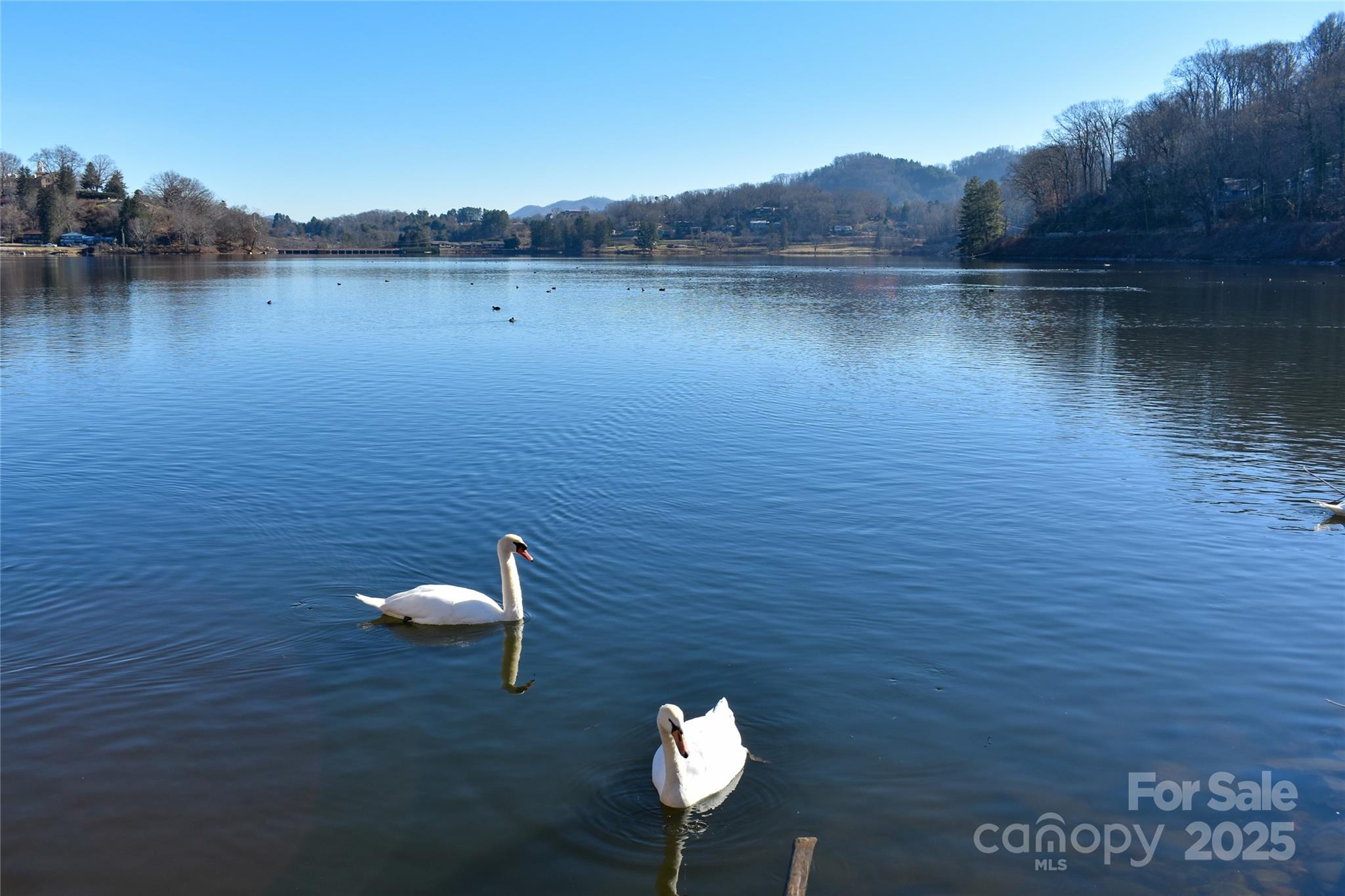 Lot 7 Aldersgate Road Unit: 7