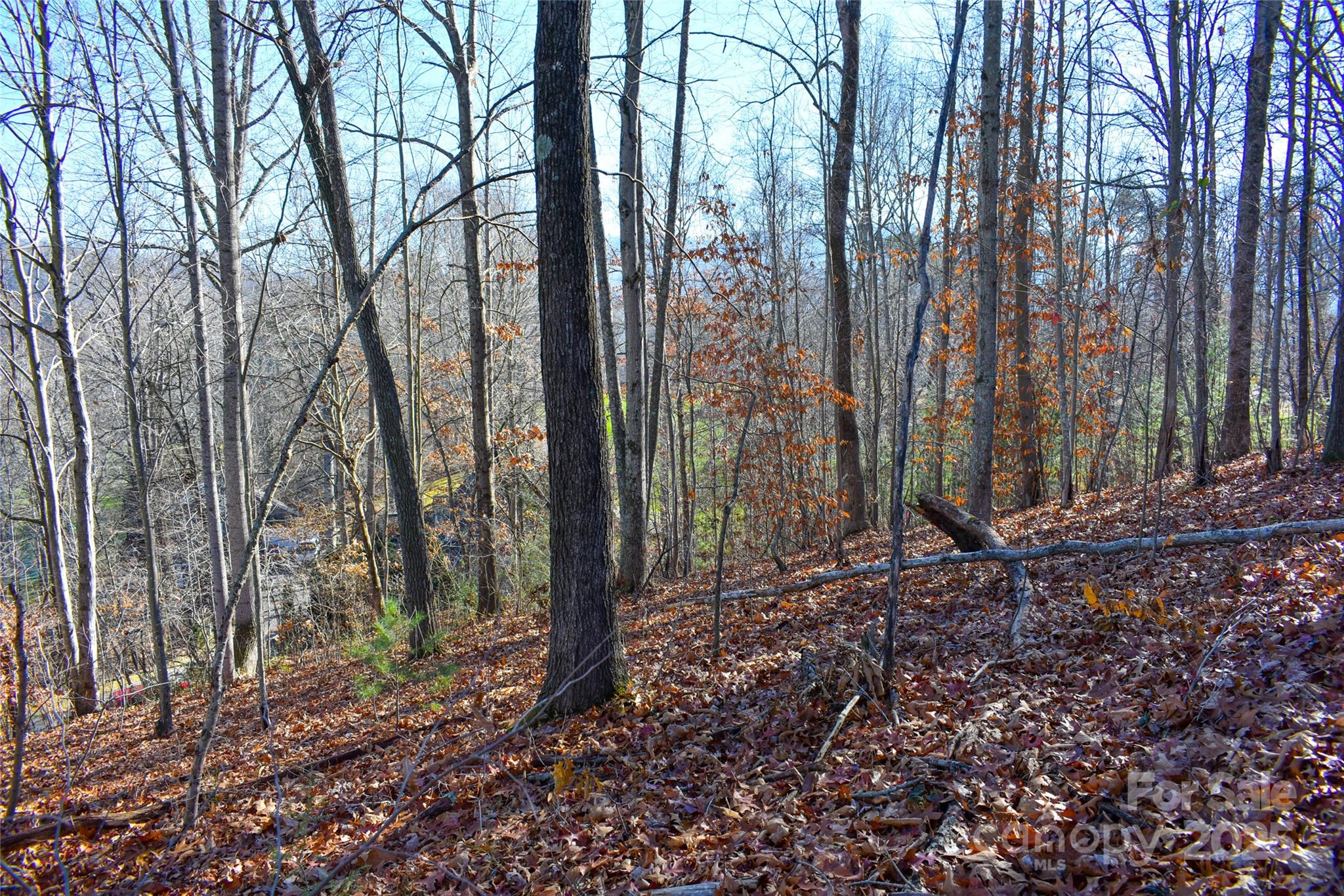 Lot 7 Aldersgate Road Unit: 7