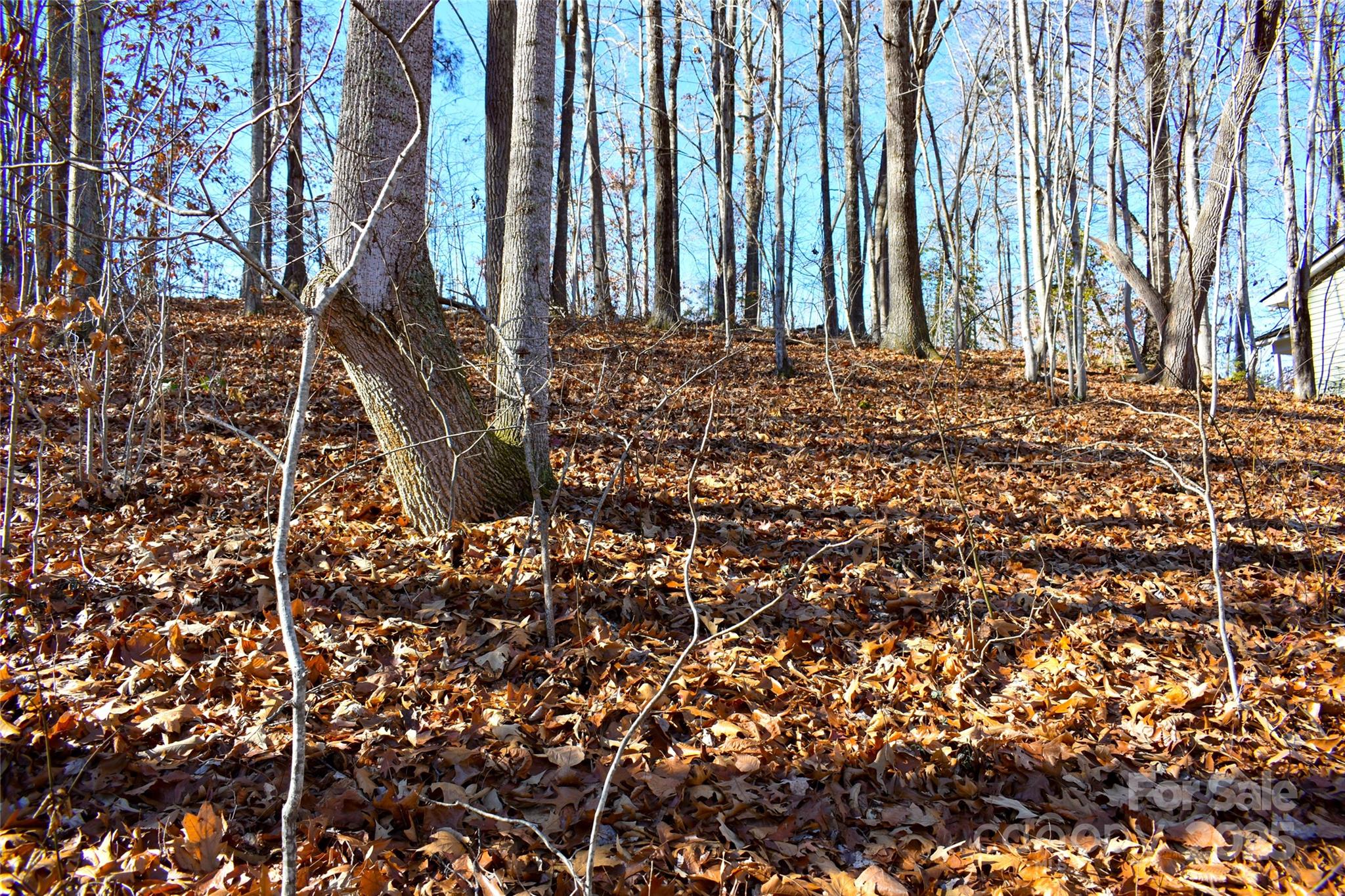 Lot 7 Aldersgate Road Unit: 7