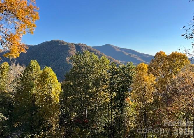 1426 Setzer Cove Road