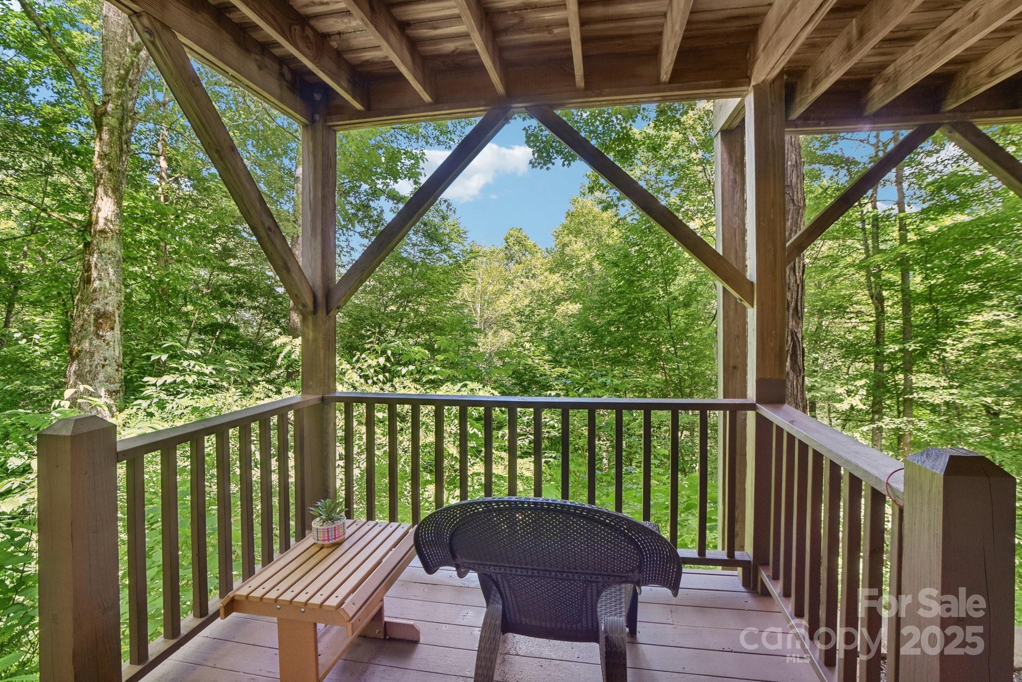 1158 Plott Balsam Road