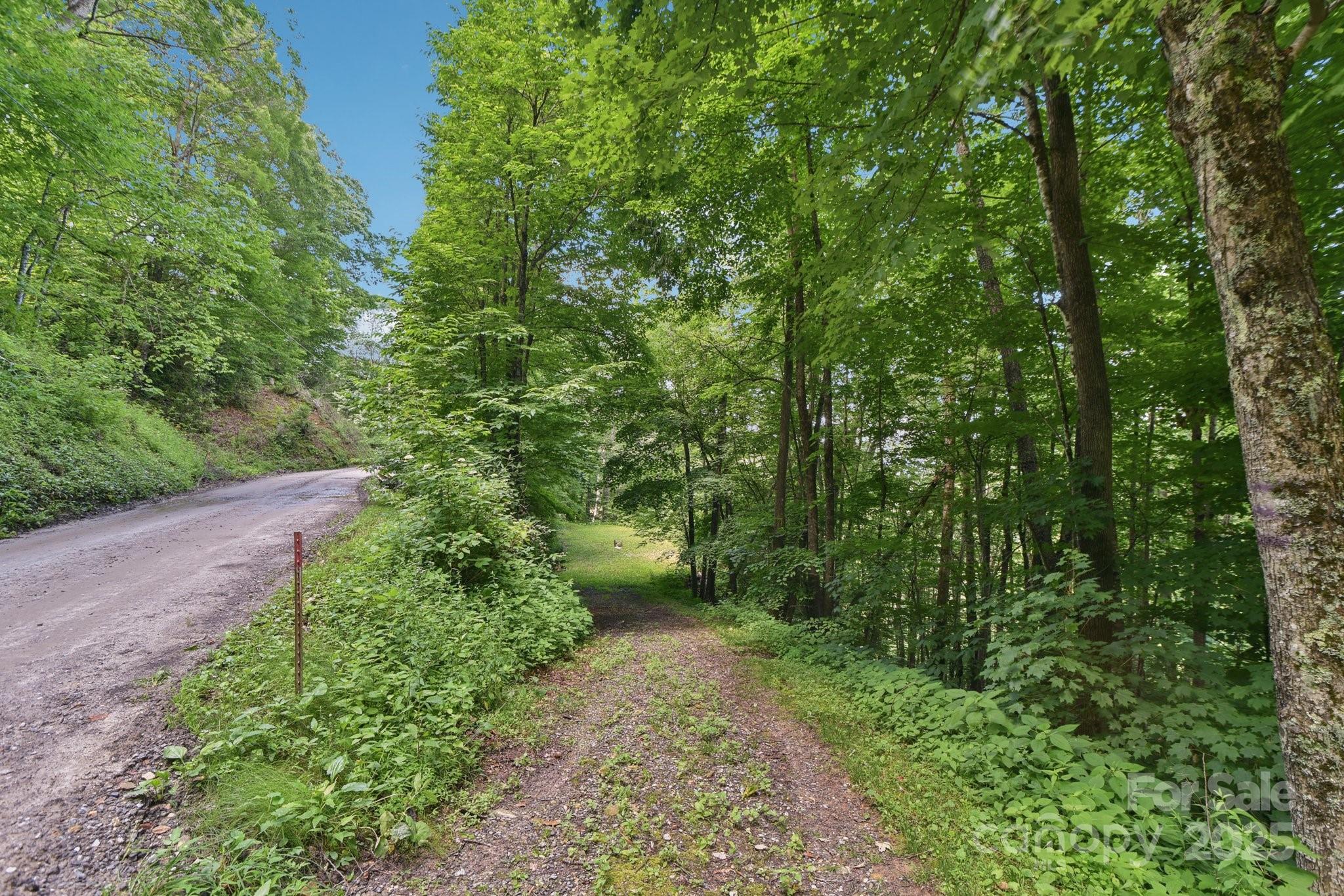 0000 Plott Balsam Road