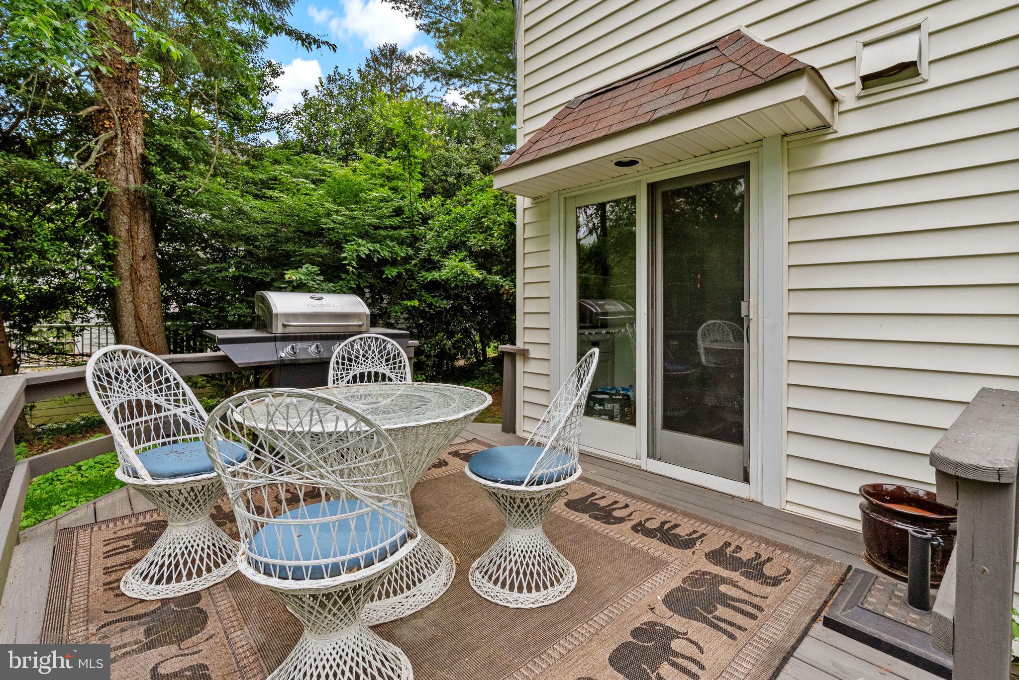 12 Chestnut Ln