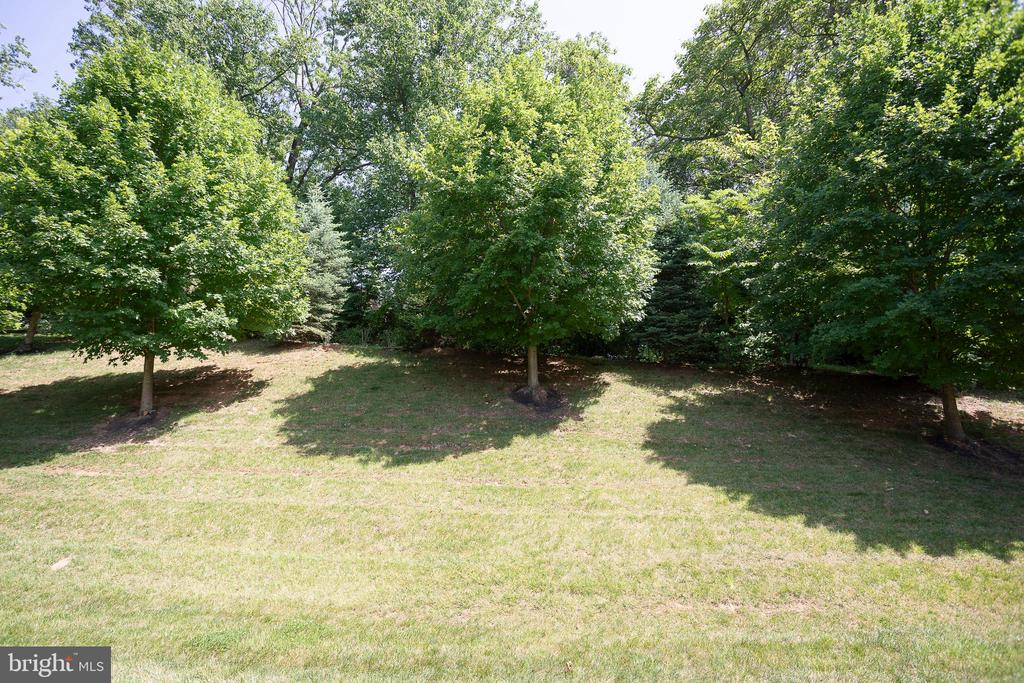 3505 MUIRWOOD DRIVE