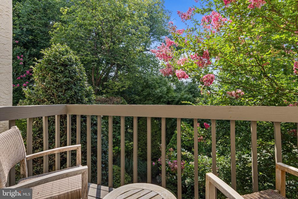 610 LINDSAY CIRCLE
