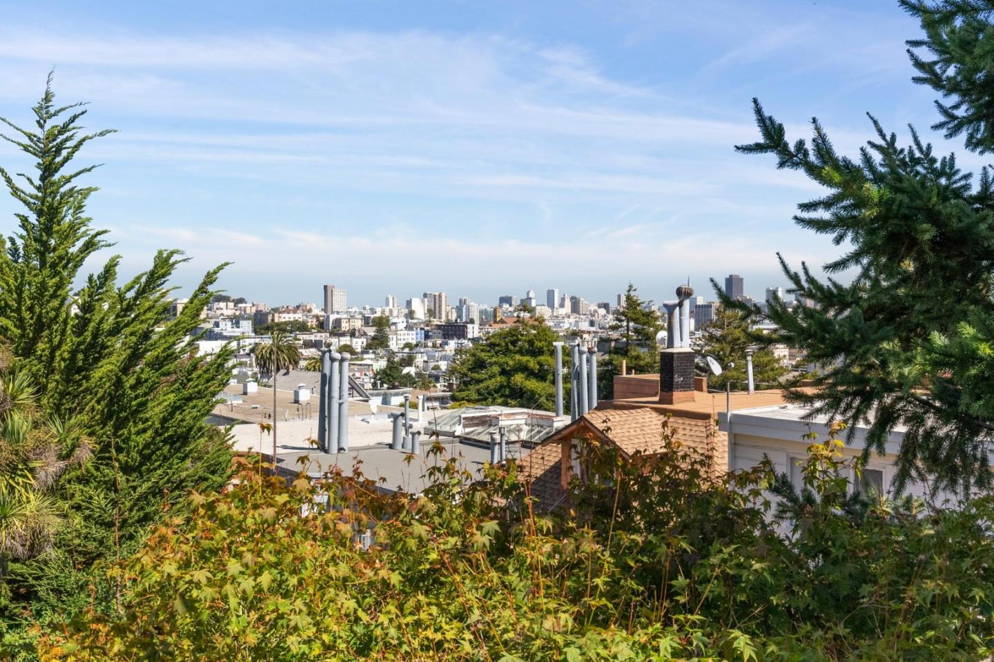 56 Divisadero ST