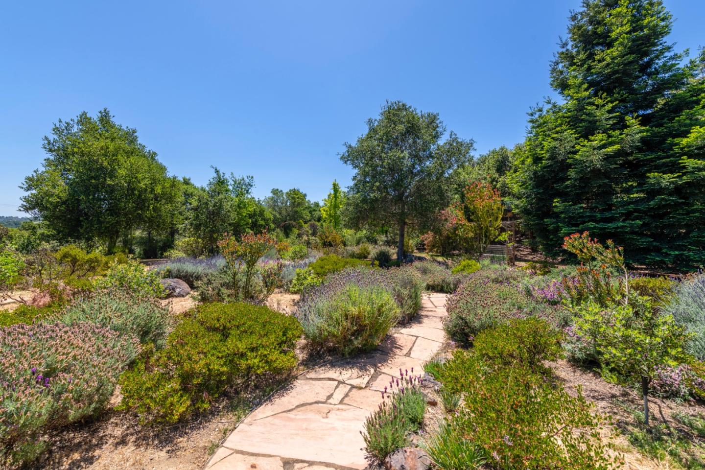 165 Golden Oak Drive
