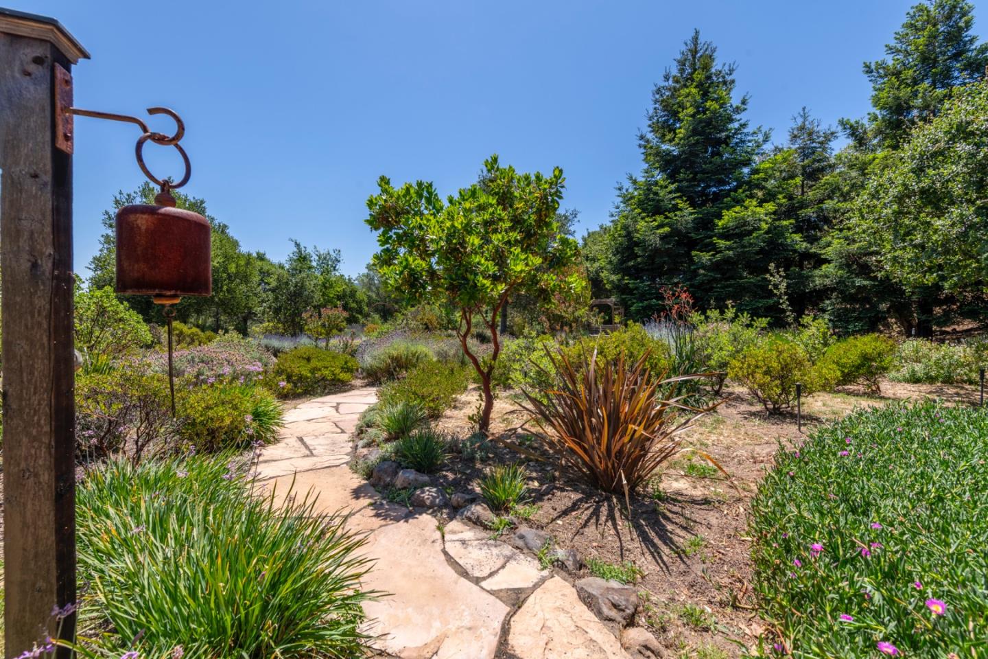 165 Golden Oak Drive