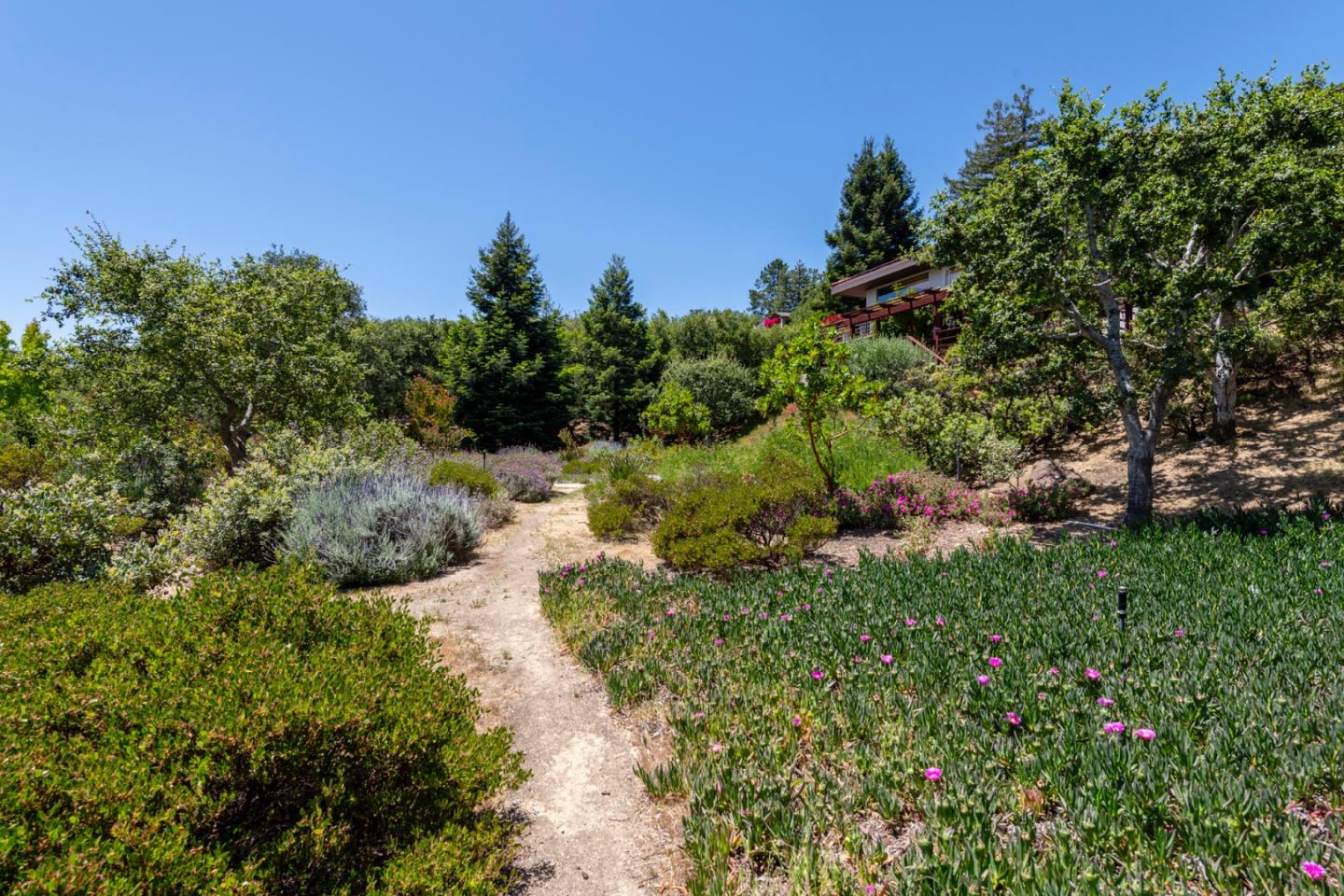 165 Golden Oak Drive