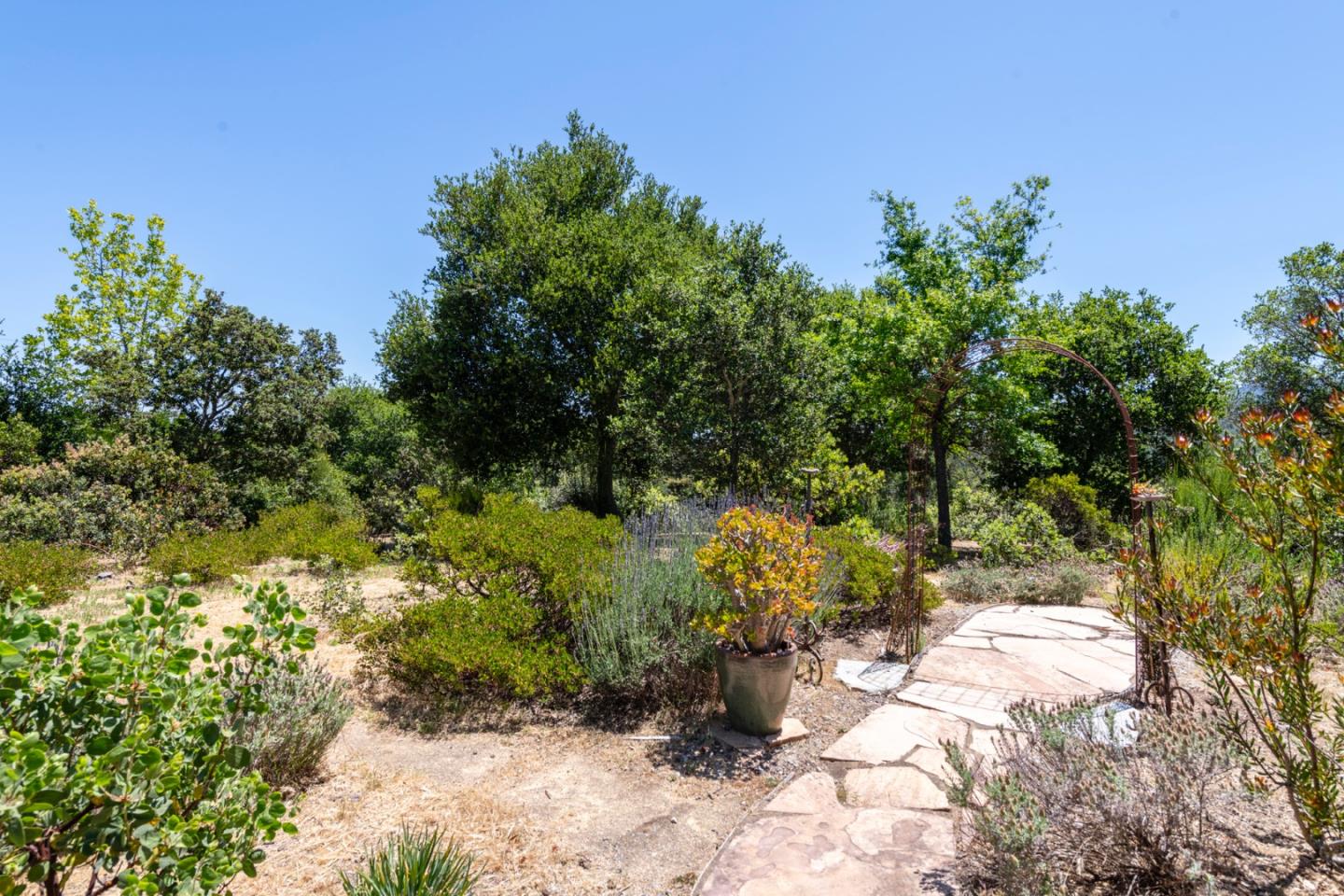 165 Golden Oak Drive