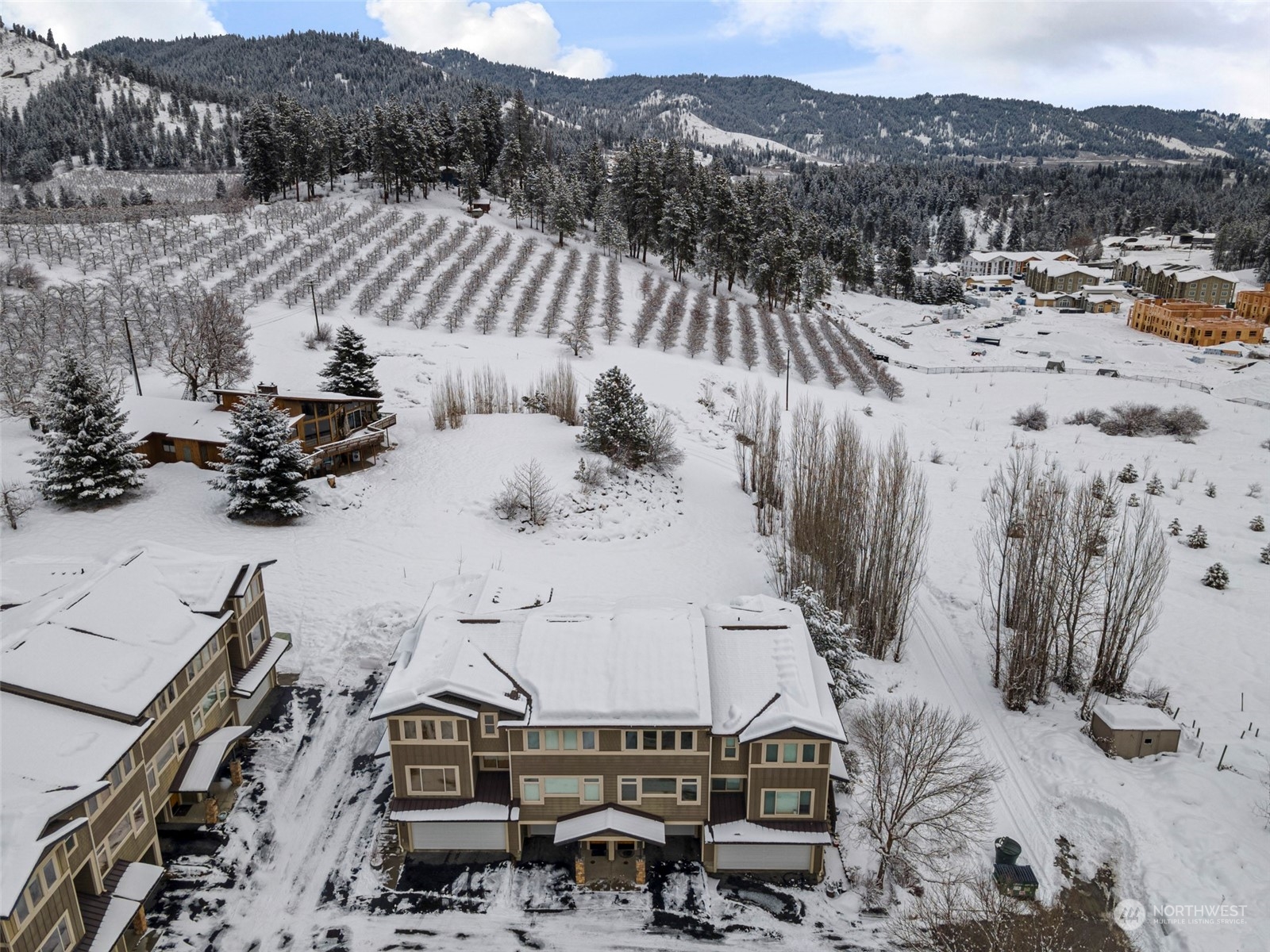 100 Ski Blick Strasse Unit: A103