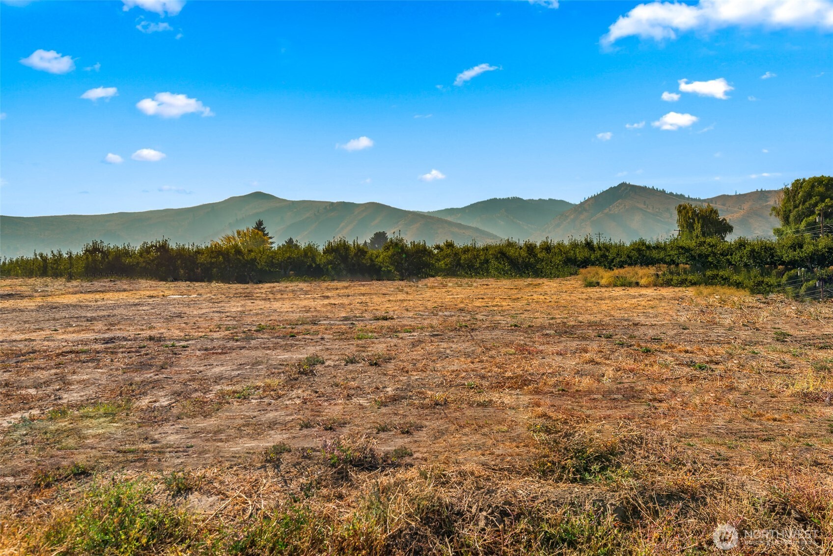 50 Farmer Lane (Lot 3)