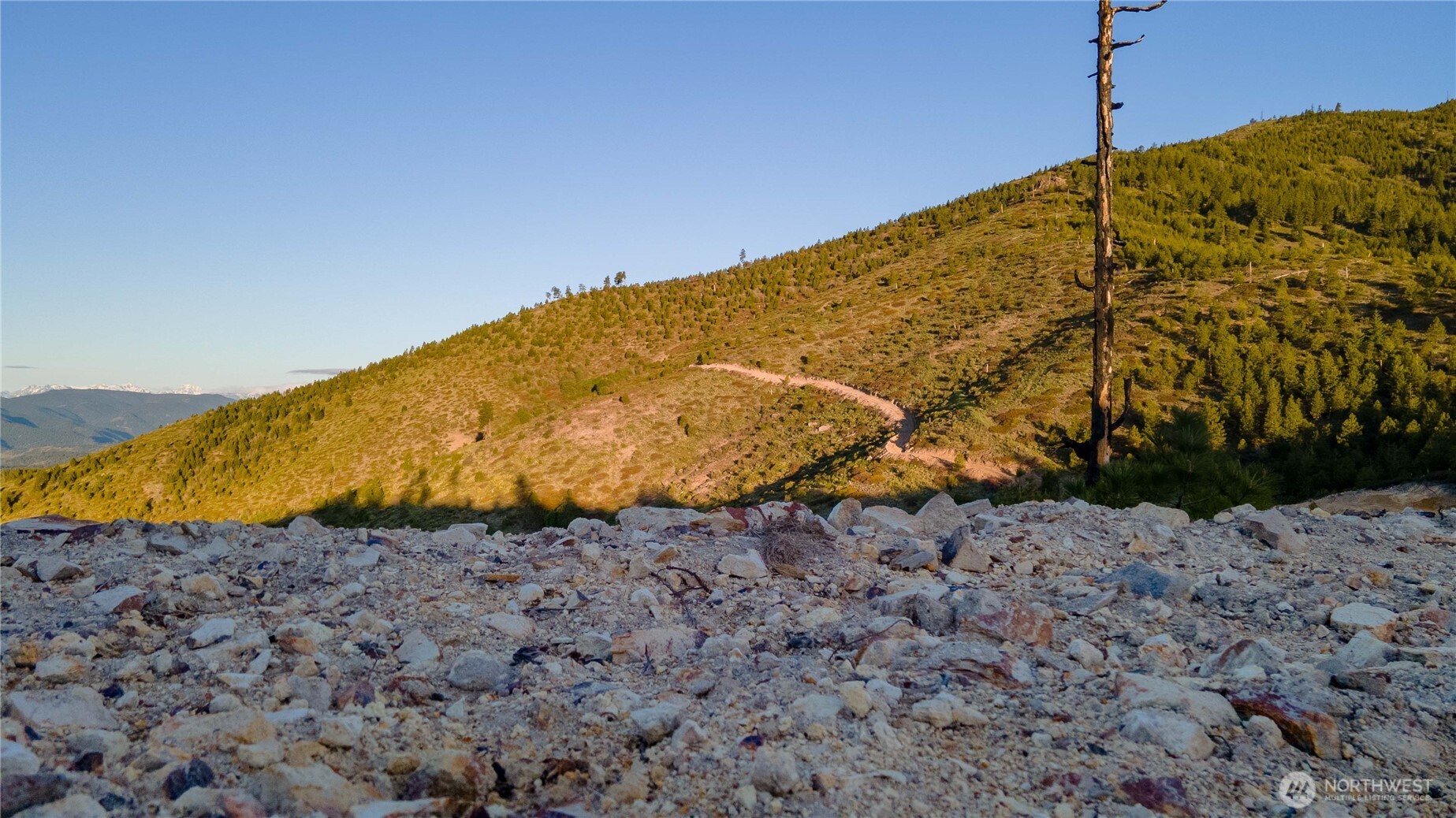 1 USFS 5350