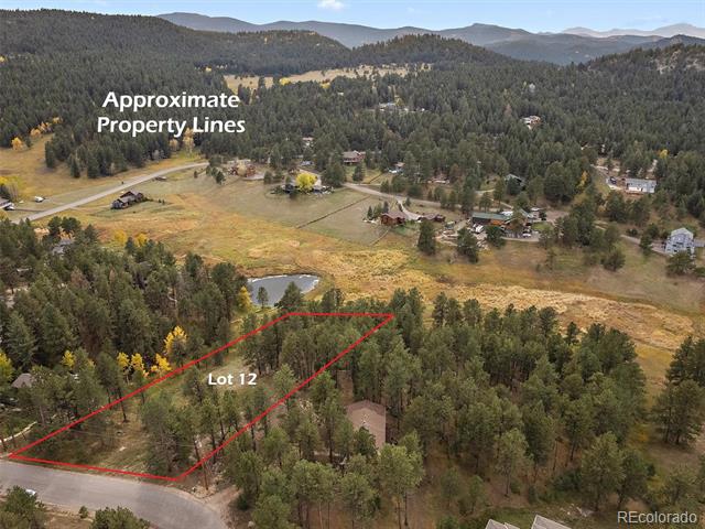 Aerial view of wooded Lot 12 outlined beside a road, with mountain ridges beyond.