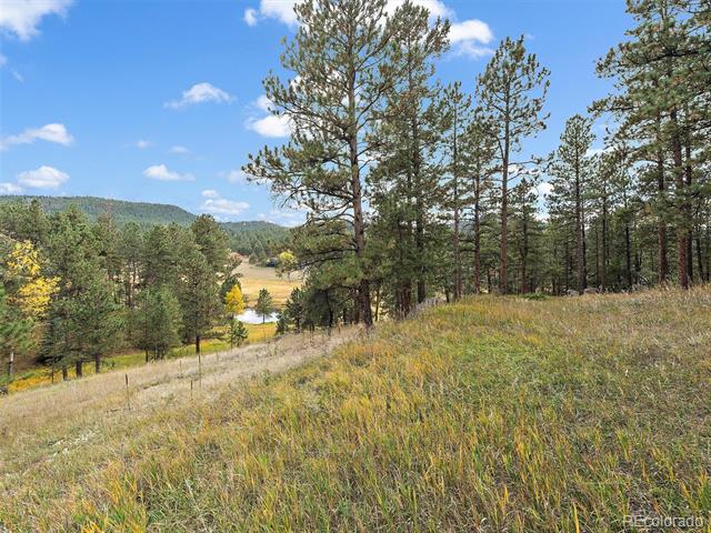 Grassy hillside property with pine trees and wooded hills in the distance.