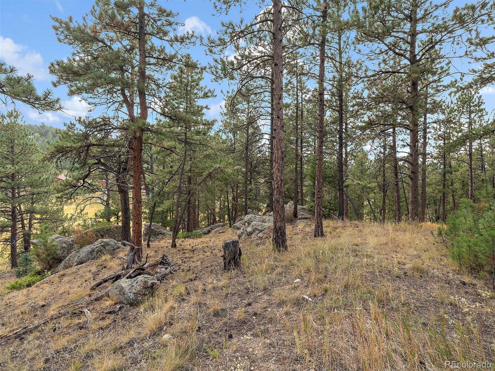 28155 Cragmont