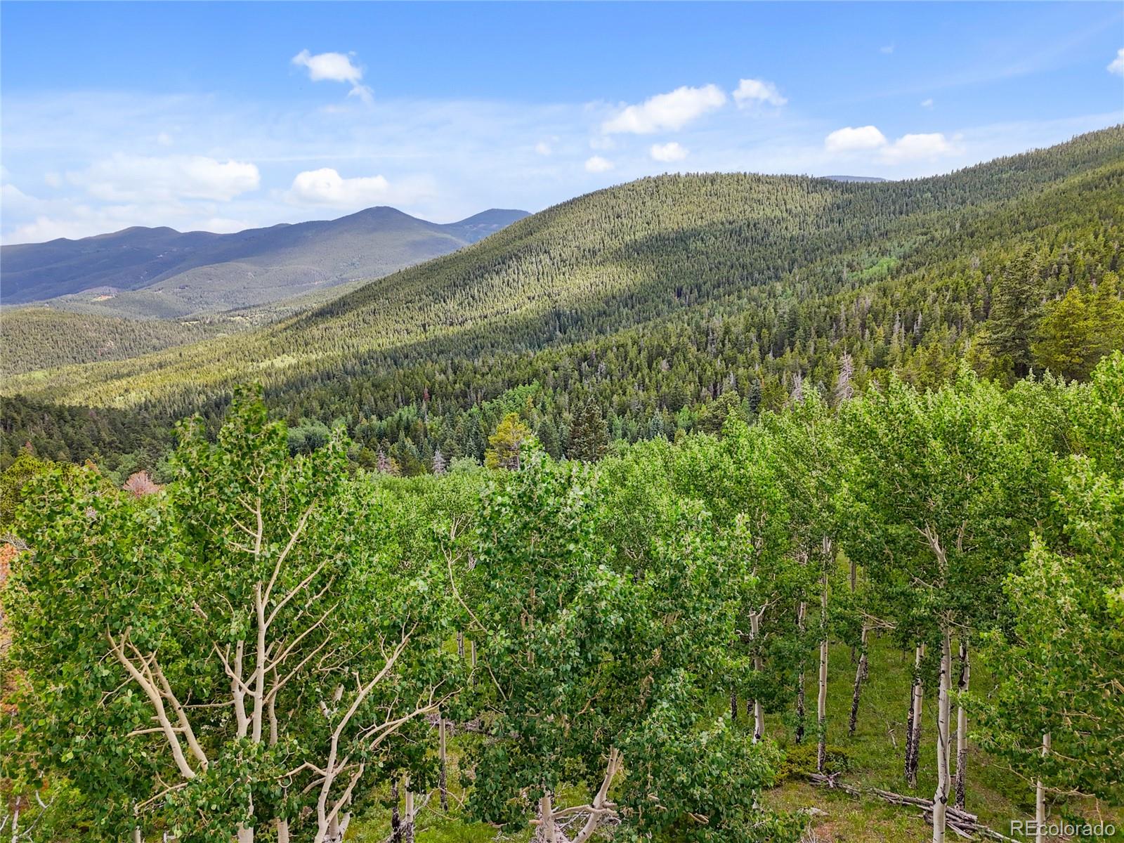 3665 Beaver Brook Canyon Road