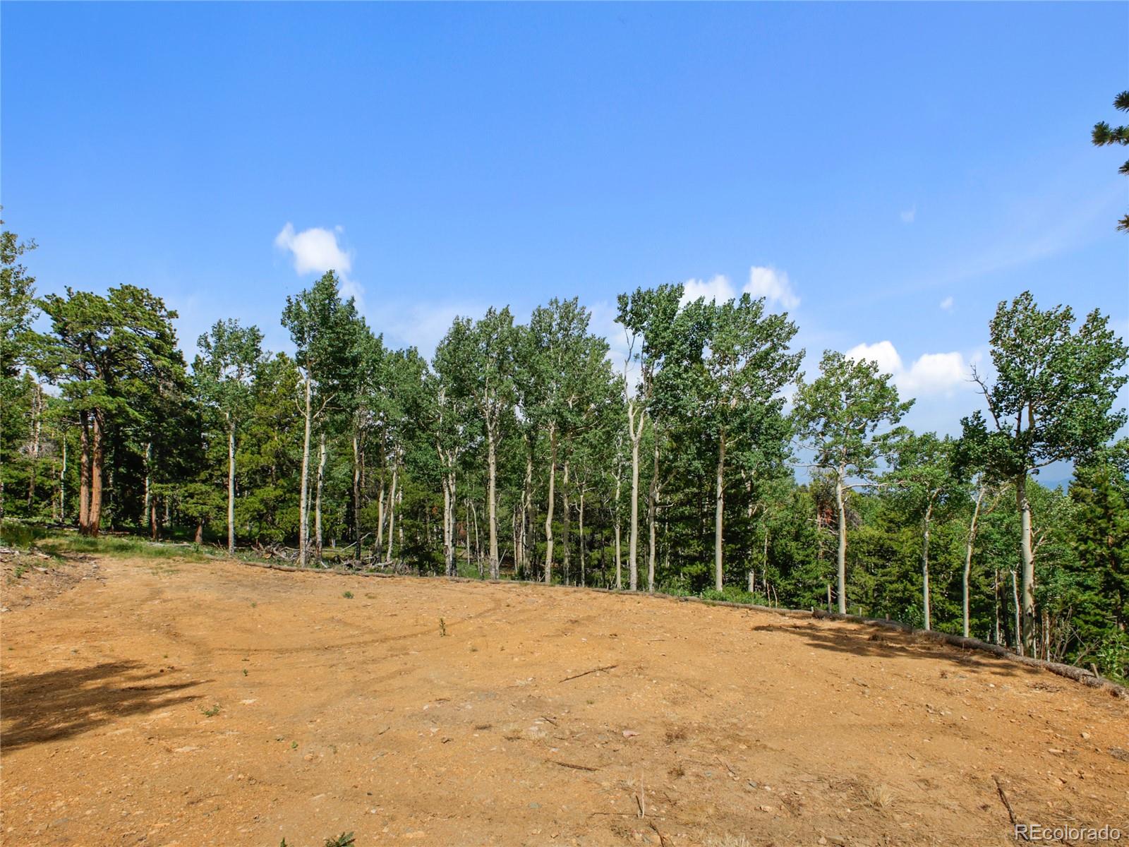 3665 Beaver Brook Canyon Road