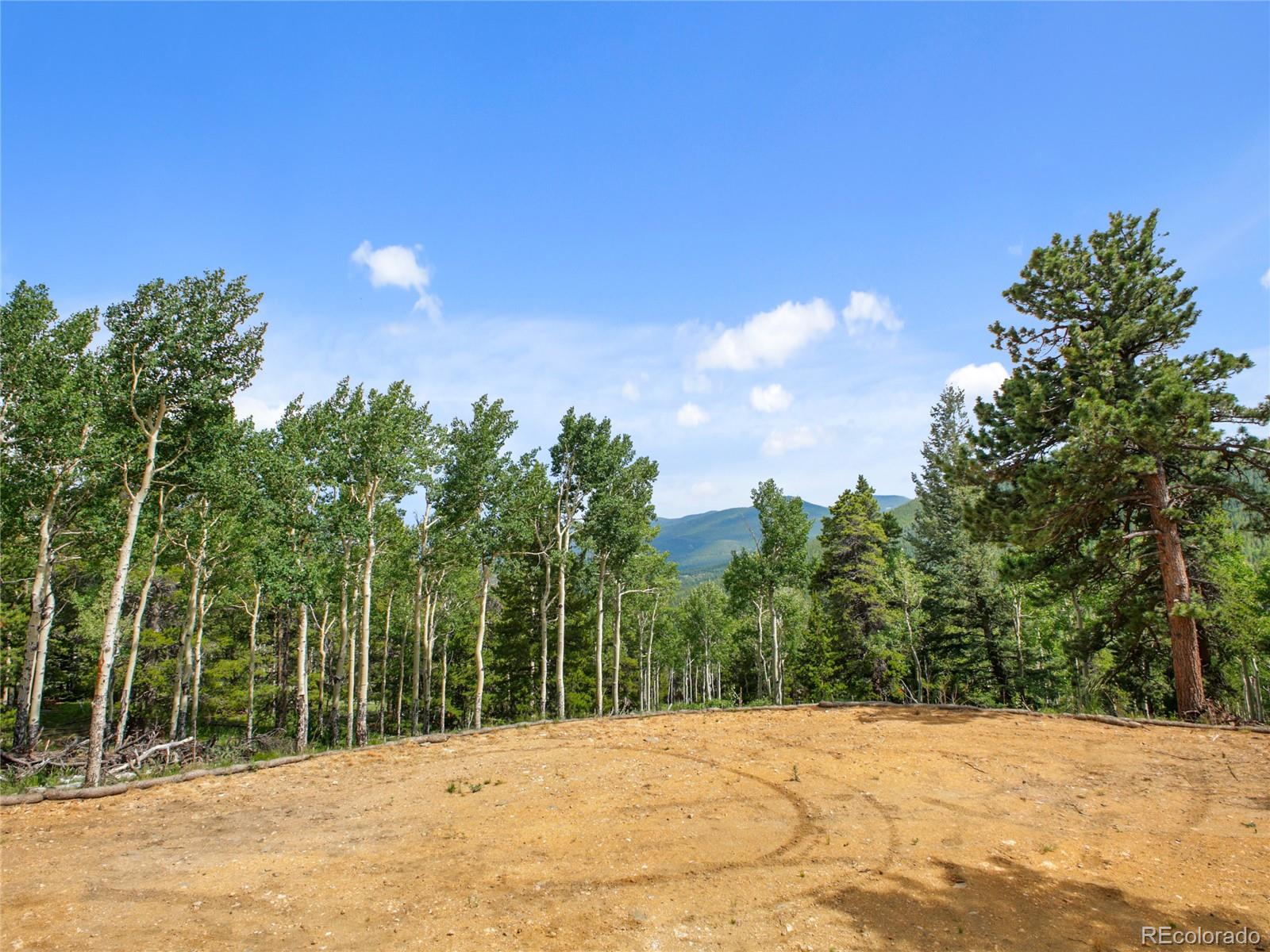 3665 Beaver Brook Canyon Road