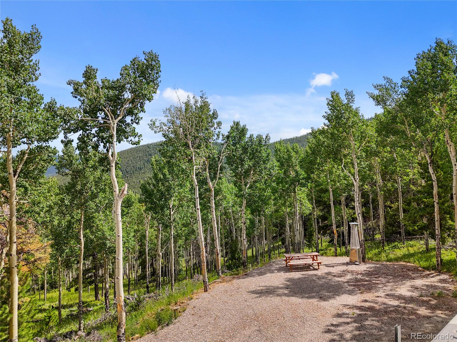 3665 Beaver Brook Canyon Road