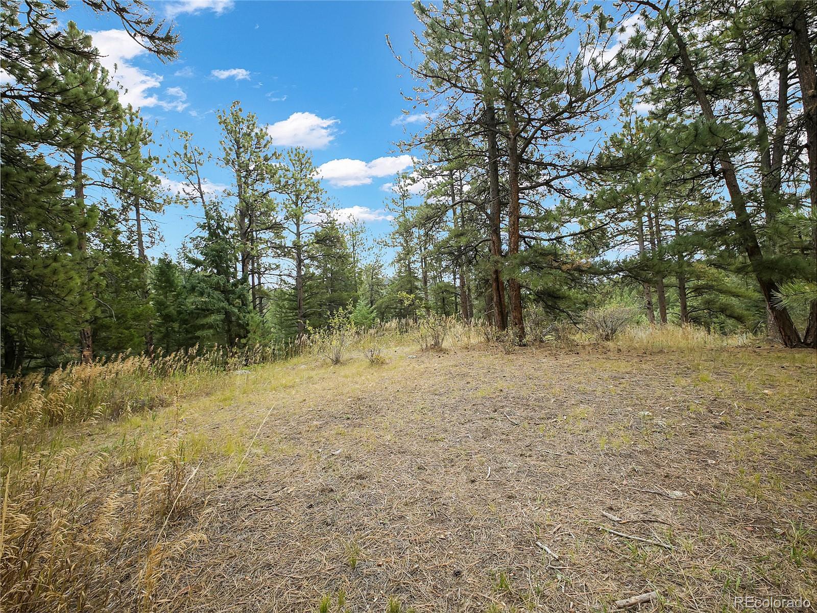 5253 Giant Gulch Road