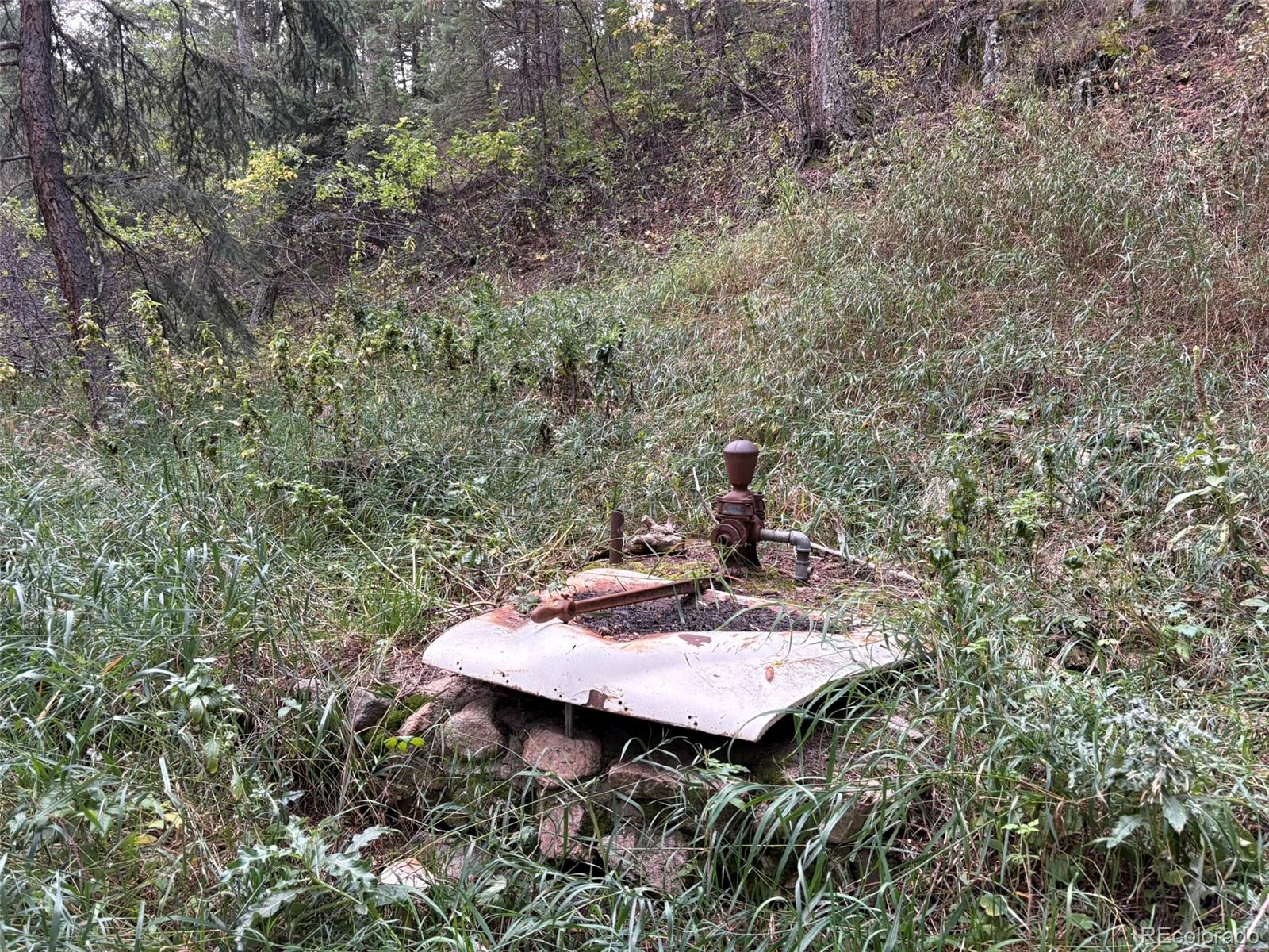 5253 Giant Gulch Road