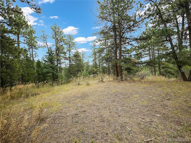 5253 Giant Gulch Road