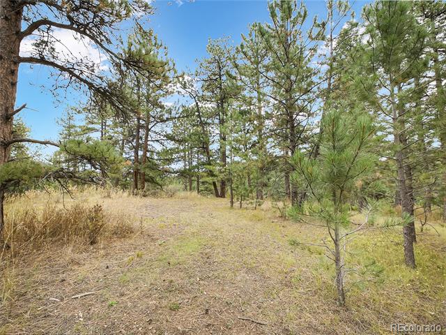 5253 Giant Gulch Road