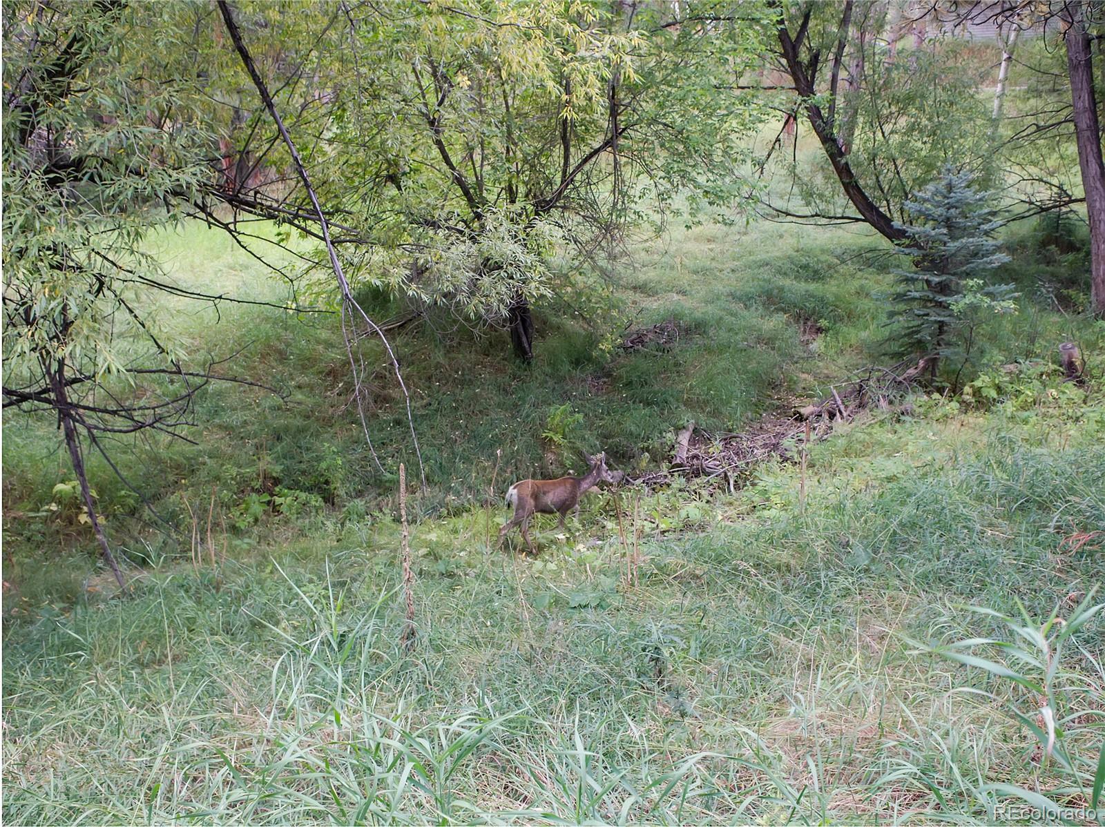 5253 Giant Gulch Road