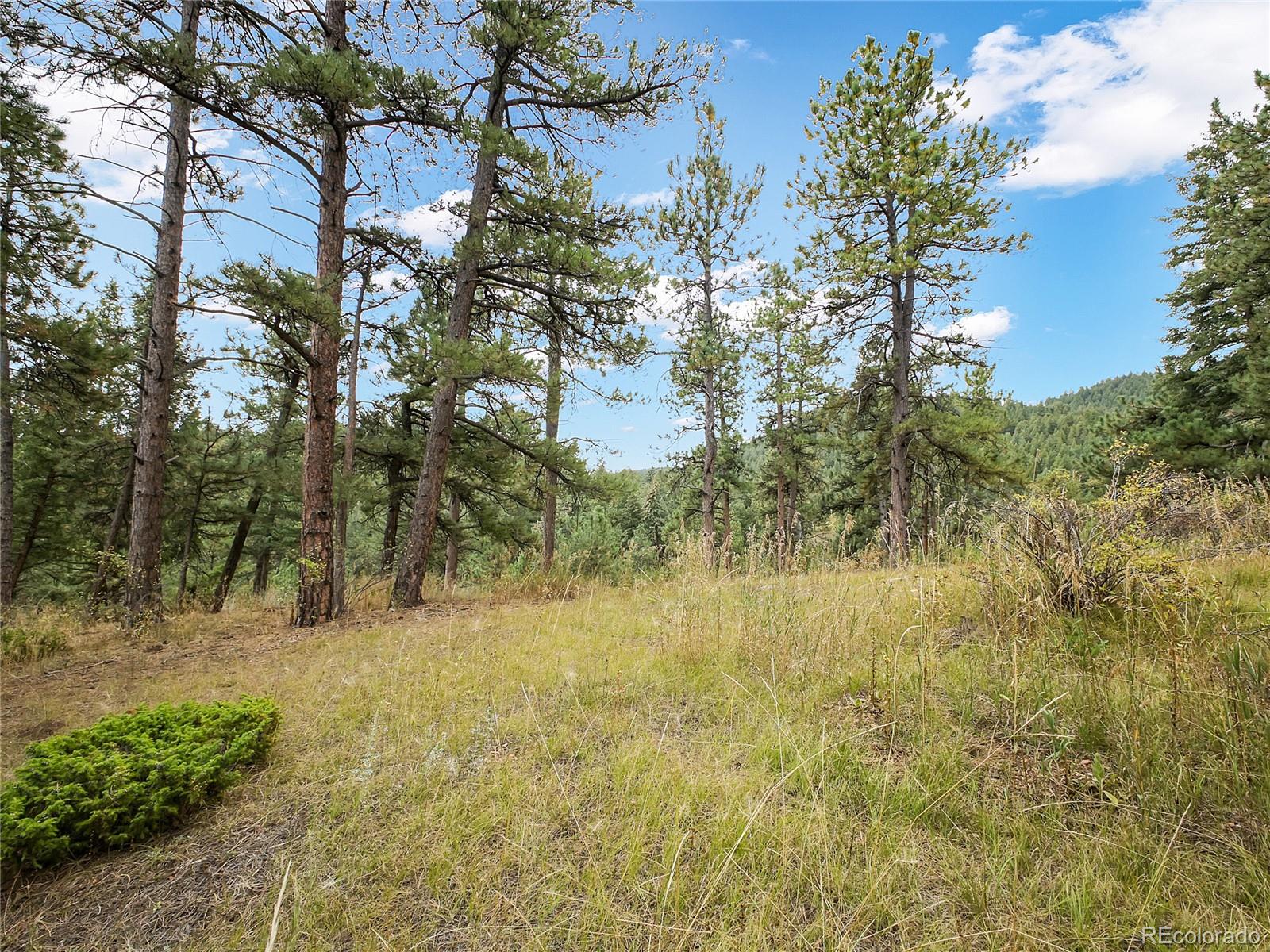 5253 Giant Gulch Road