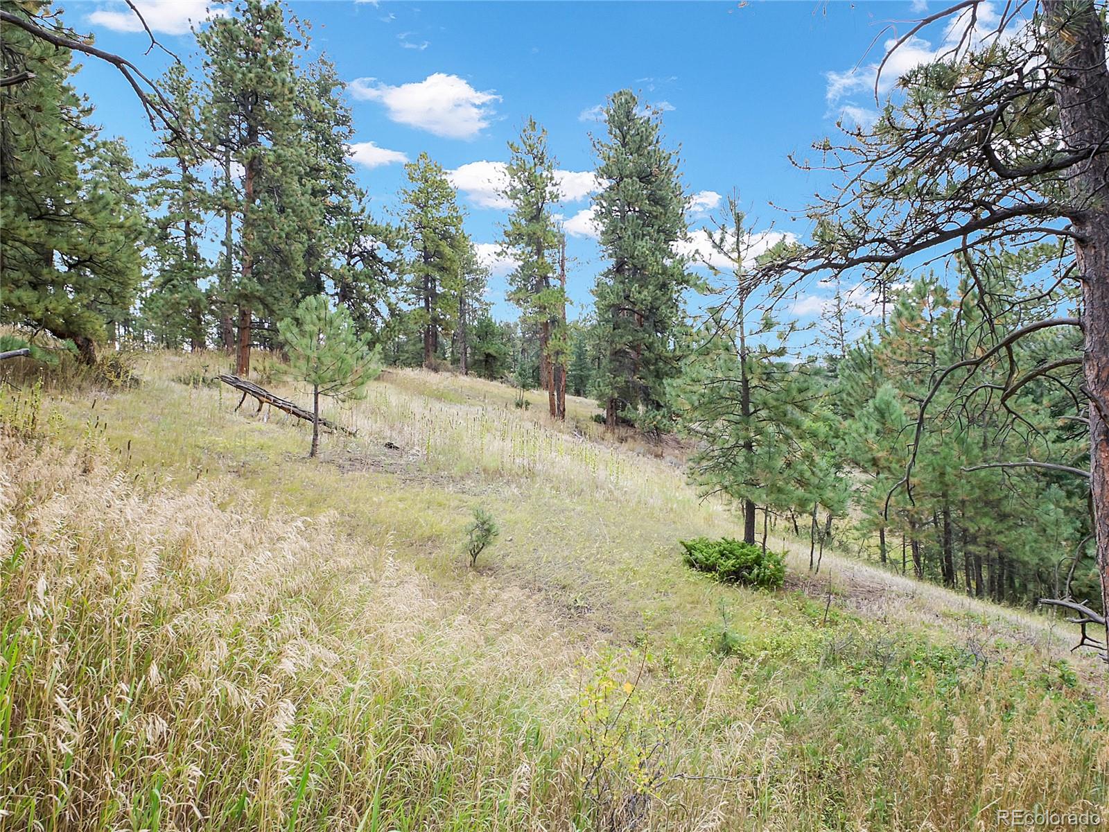 5253 Giant Gulch Road