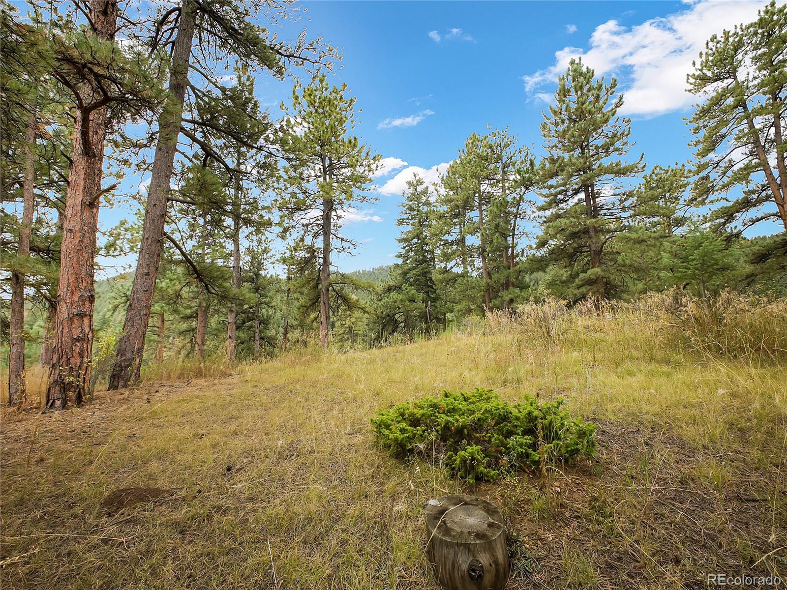 5253 Giant Gulch Road