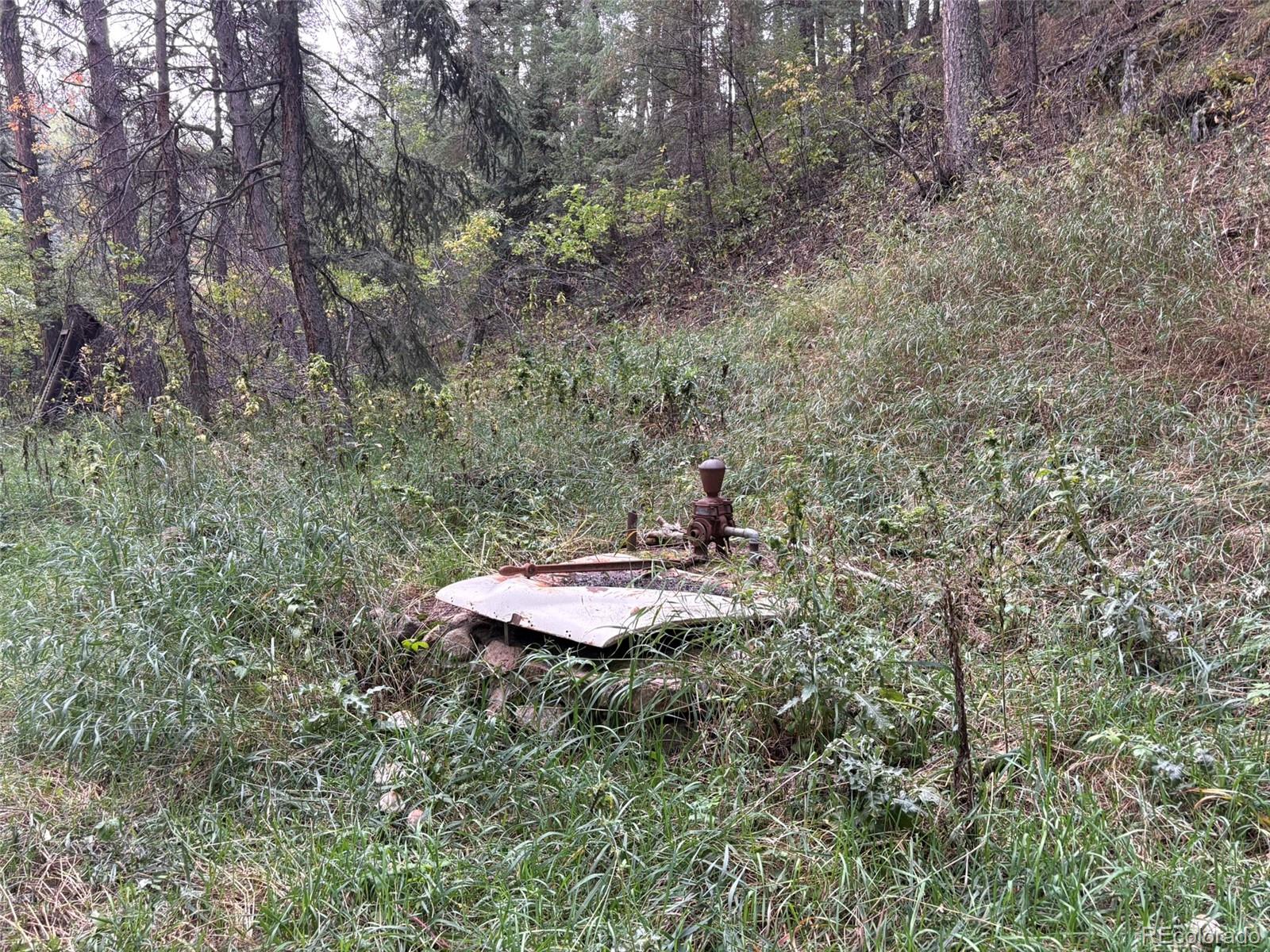 5253 Giant Gulch Road