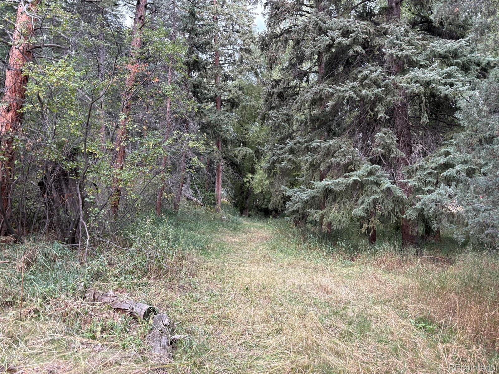 5253 Giant Gulch Road