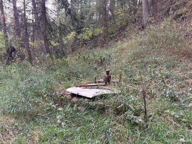 5253 Giant Gulch Road
