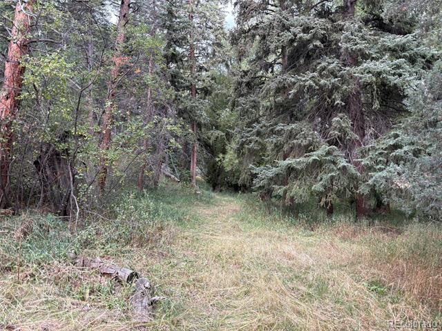 5253 Giant Gulch Road