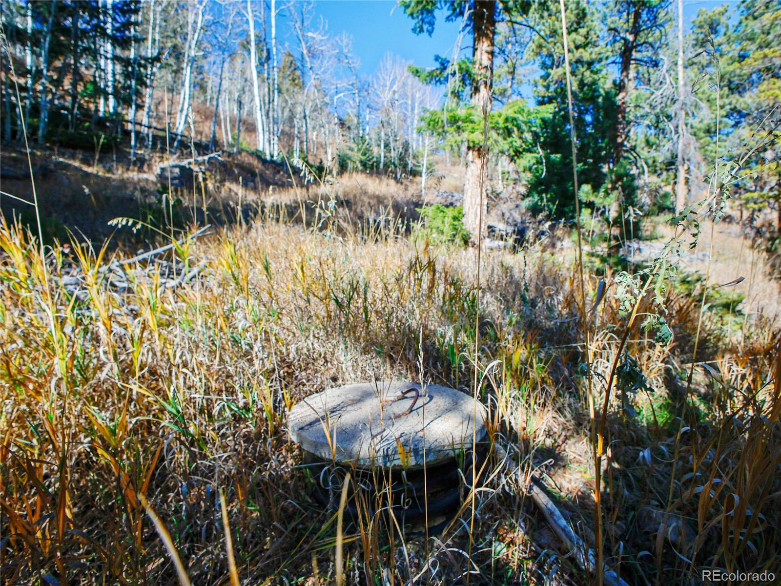 10256 Horizon View Drive