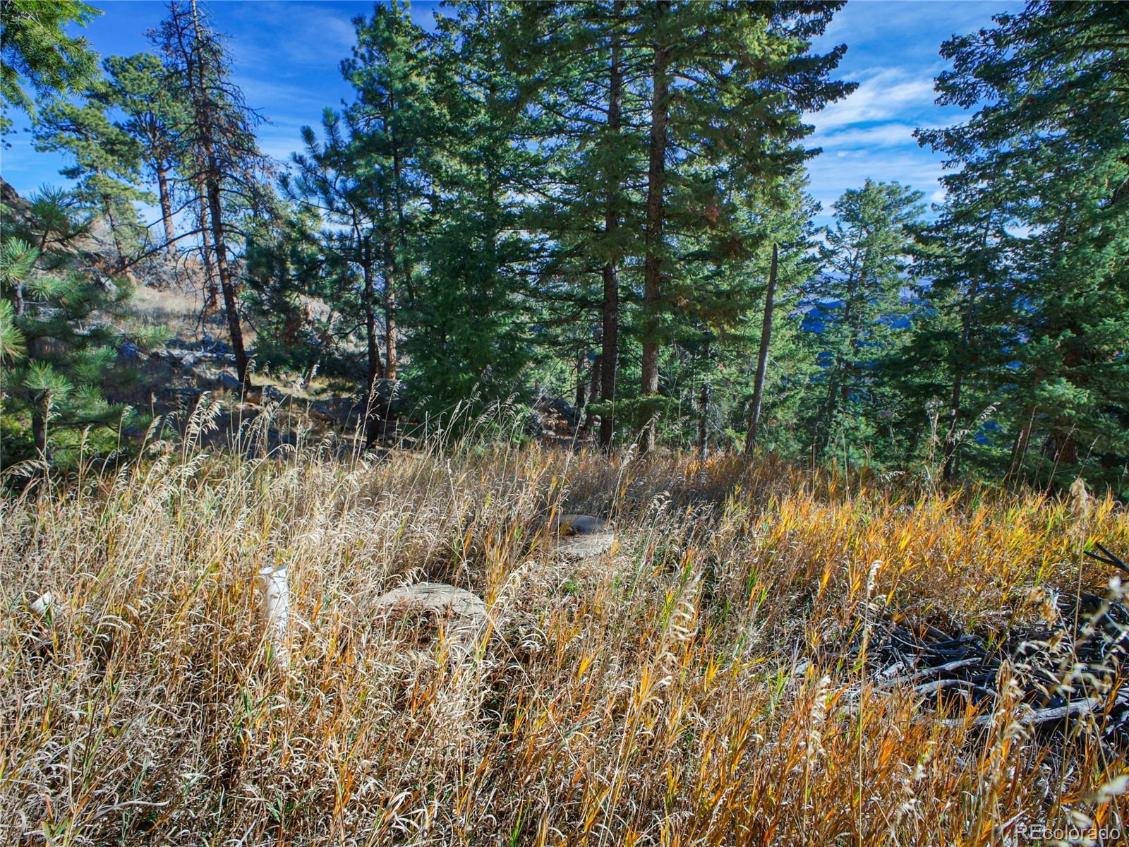 10256 Horizon View Drive