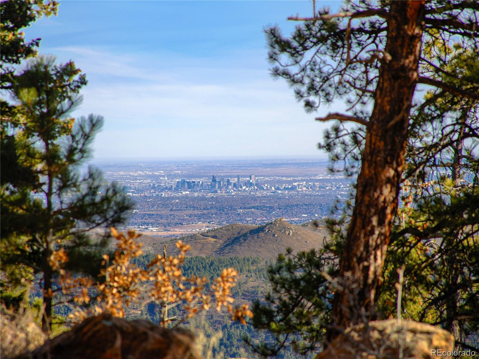 10256 Horizon View Drive