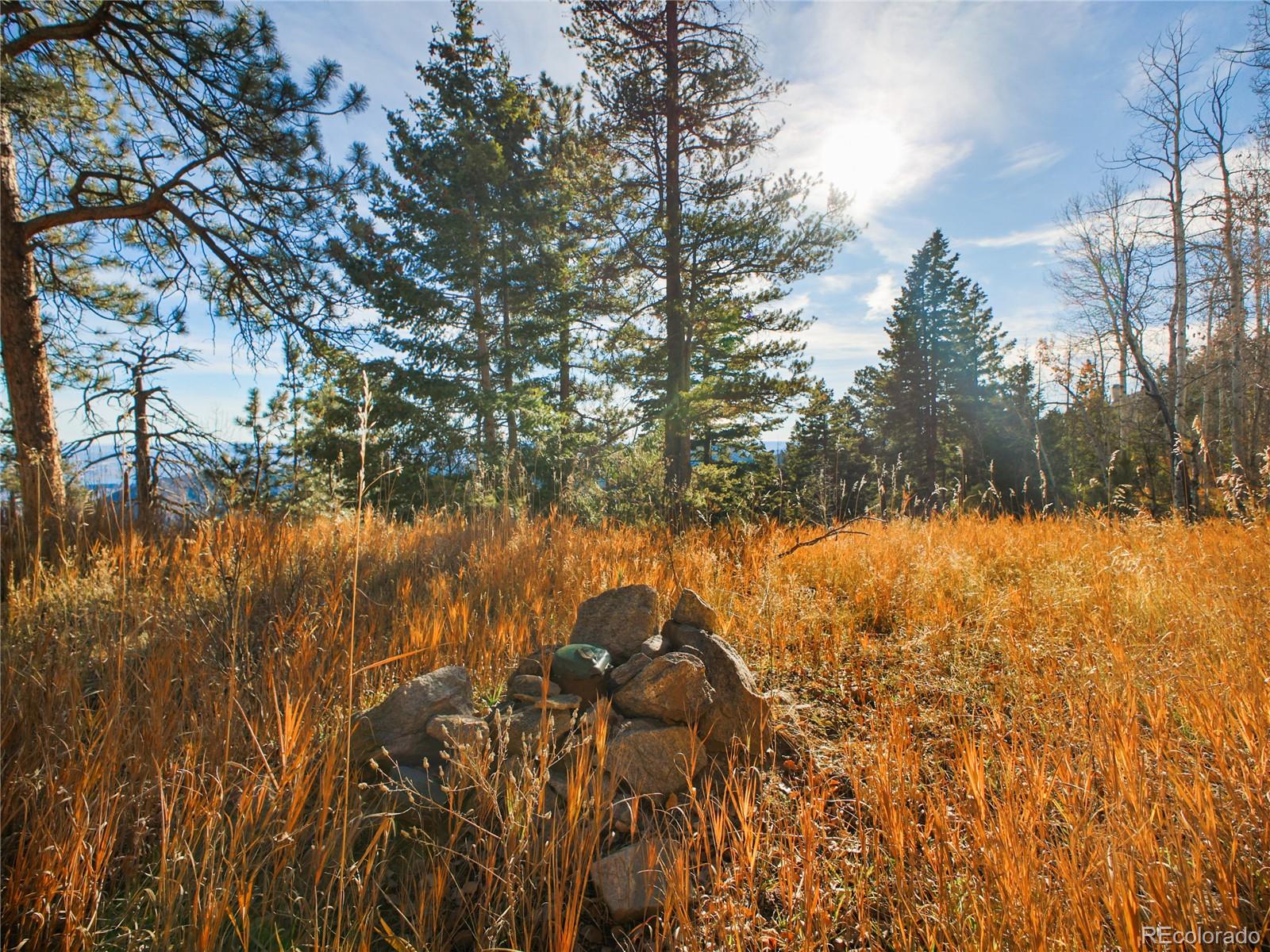 10256 Horizon View Drive