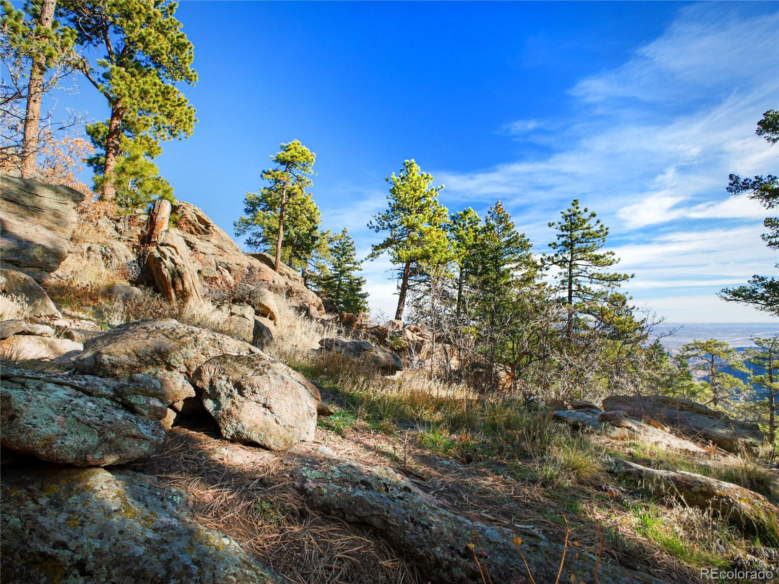 10256 Horizon View Drive