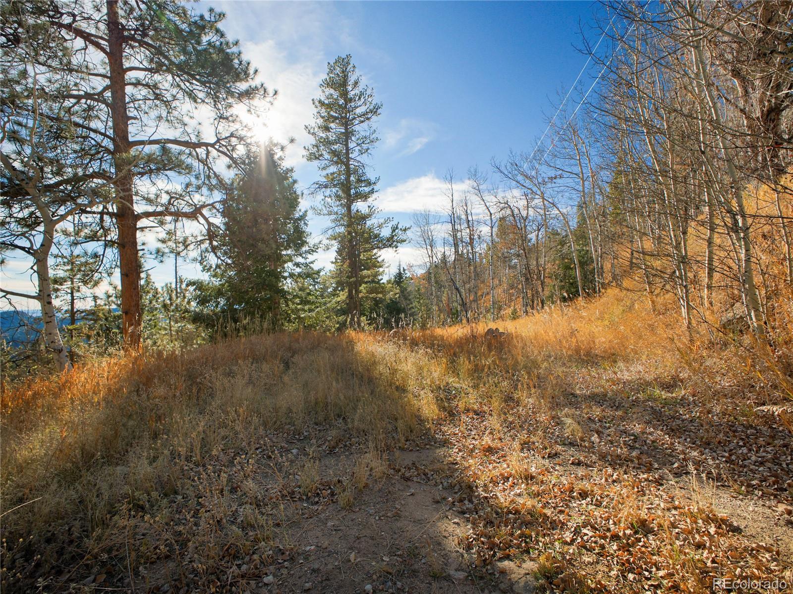 10256 Horizon View Drive